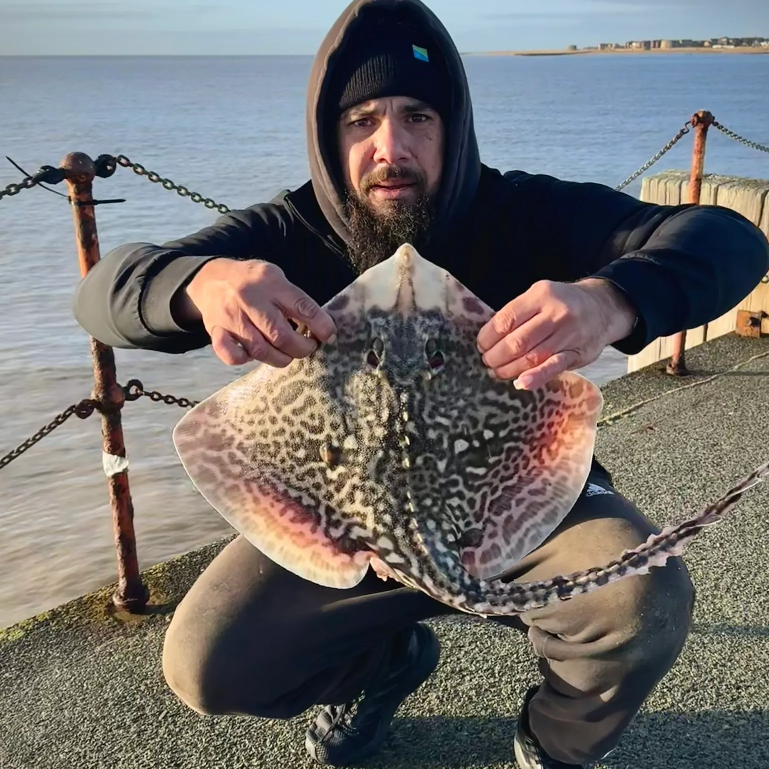 The most recent Thornback ray catches on Fishbrain