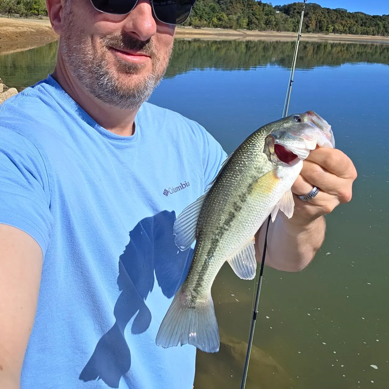 Spotted bass caught on Fishbrain