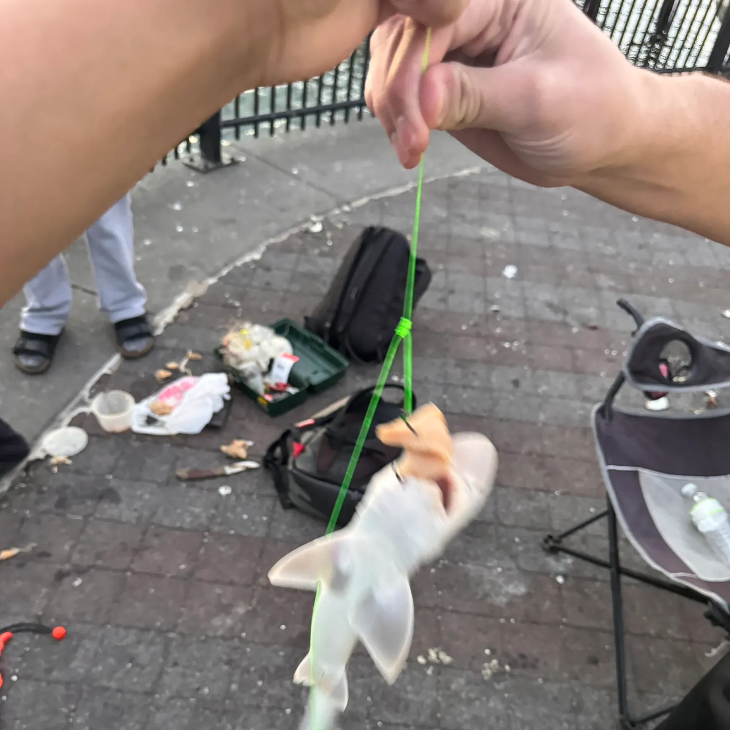 catch