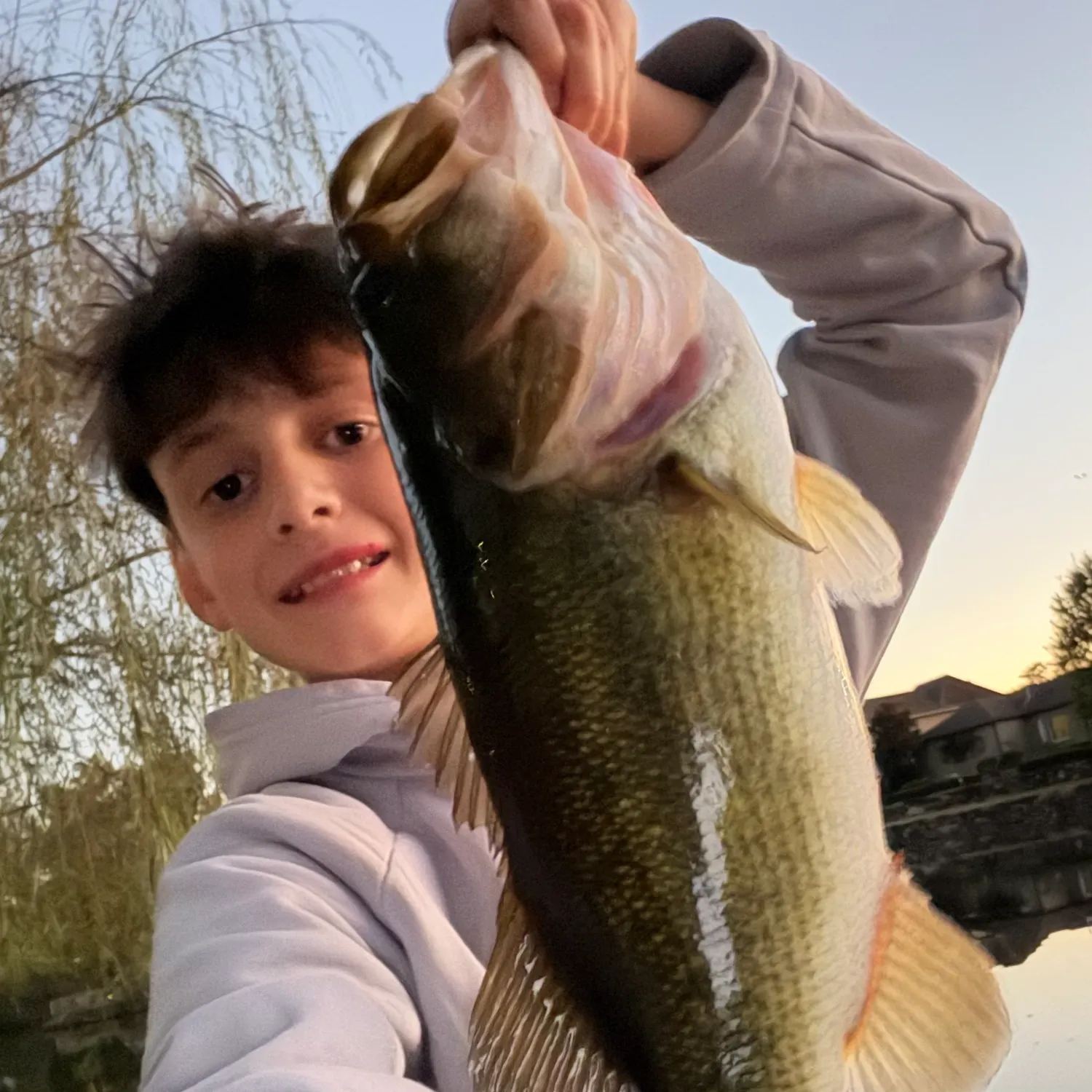 Largemouth bass caught on Fishbrain