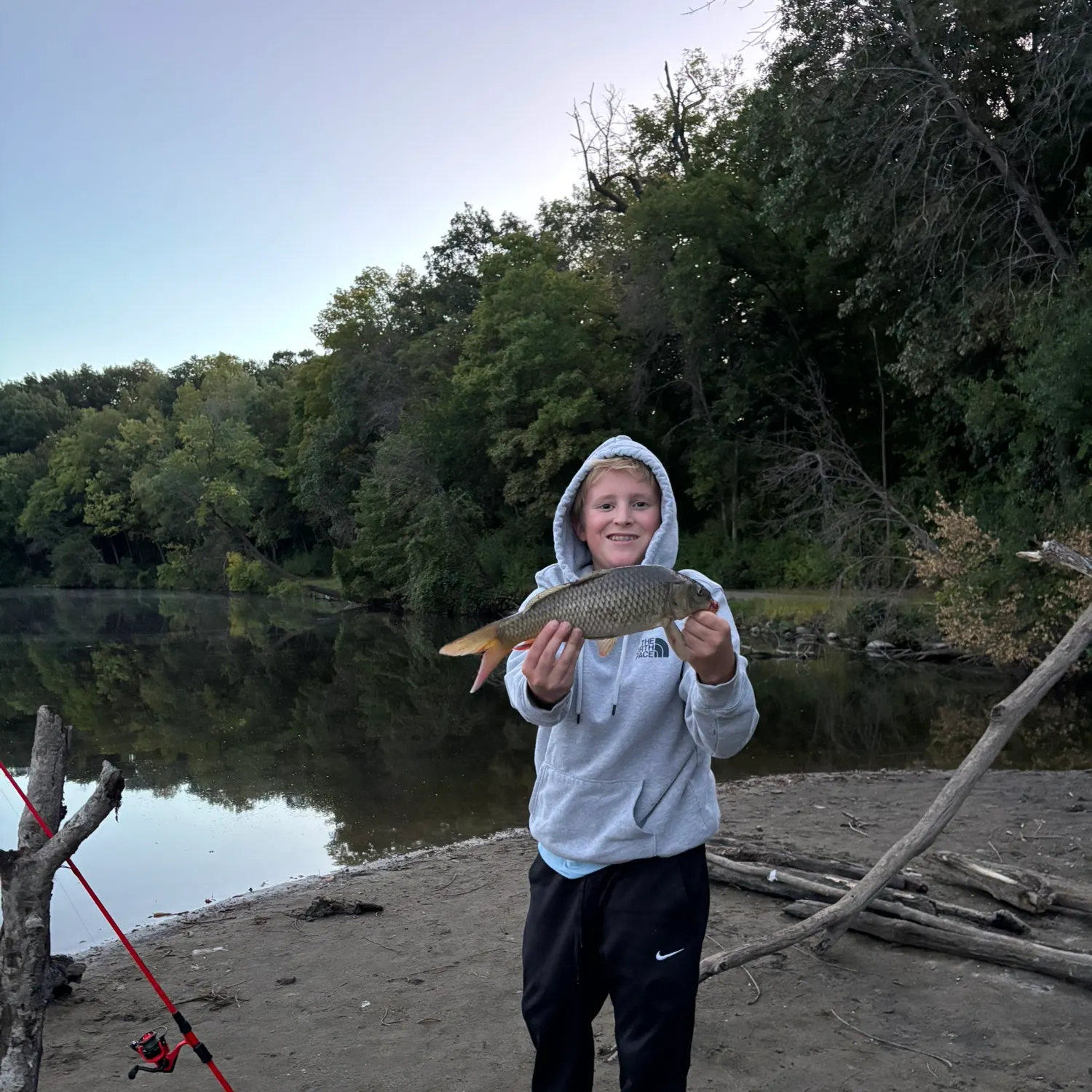 Common carp caught on Fishbrain
