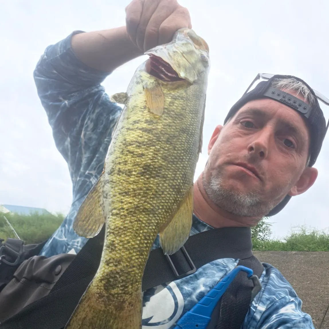 Smallmouth bass caught on Fishbrain