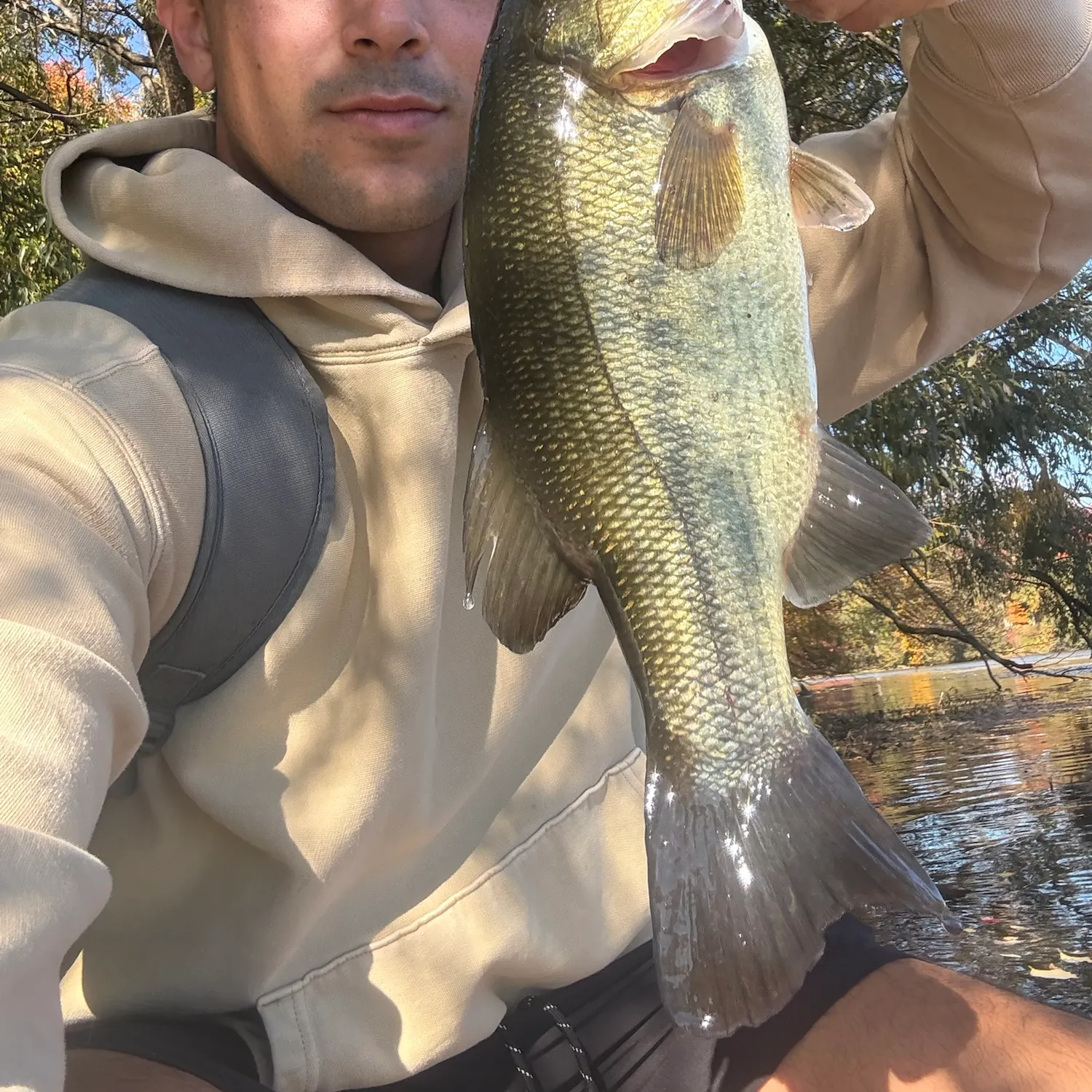 Largemouth bass caught on Fishbrain