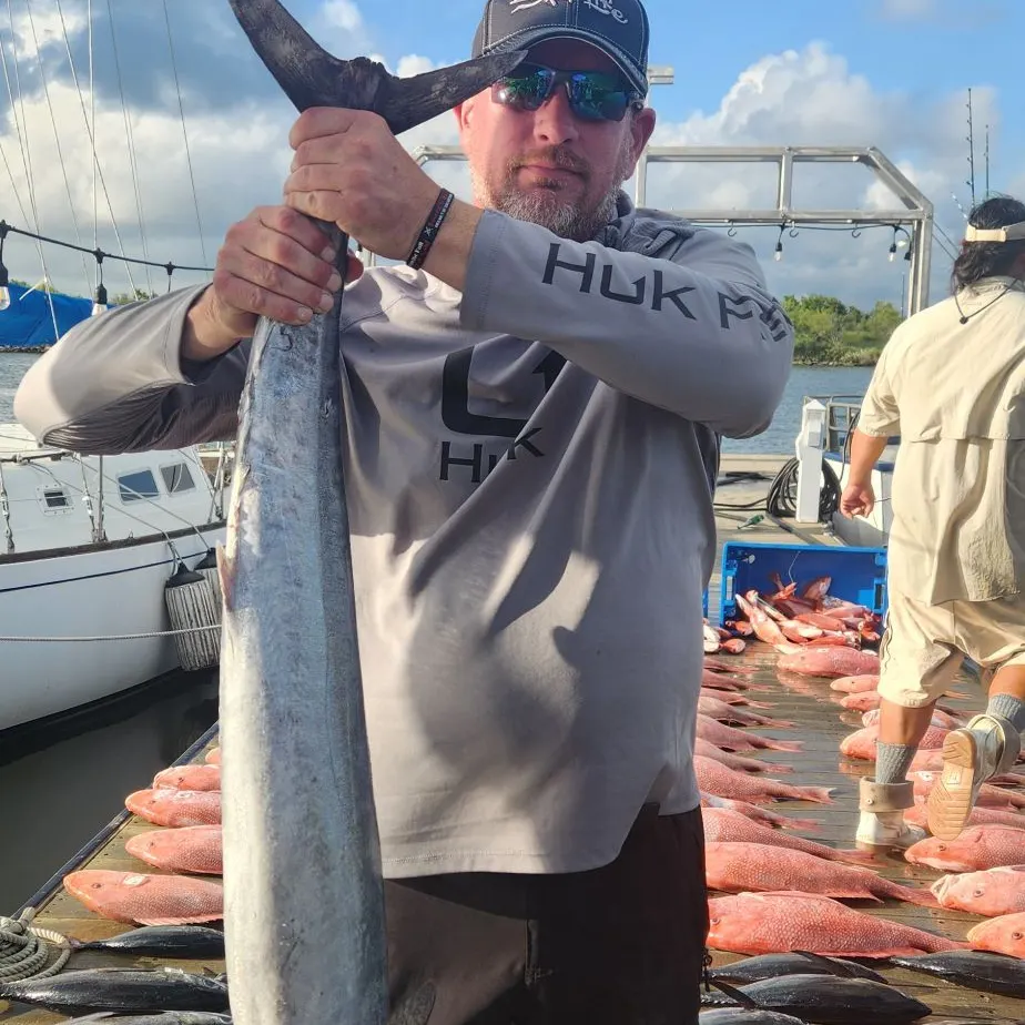 The most recent Wahoo catches on Fishbrain