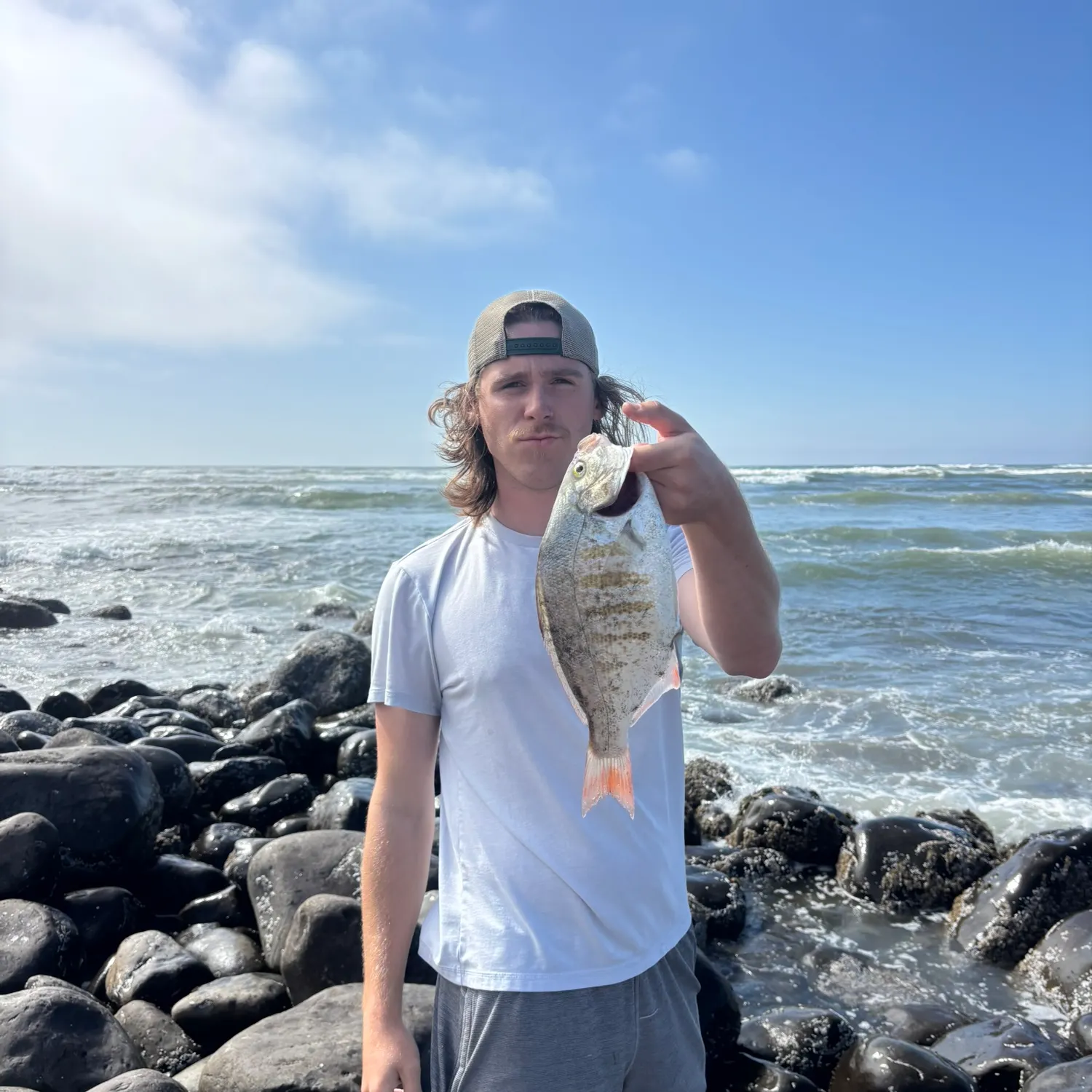 The most recent Redtail surfperch catches on Fishbrain