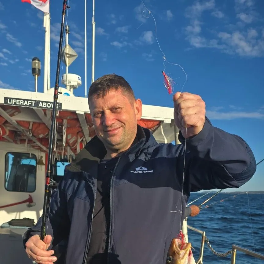Atlantic cod caught on Fishbrain