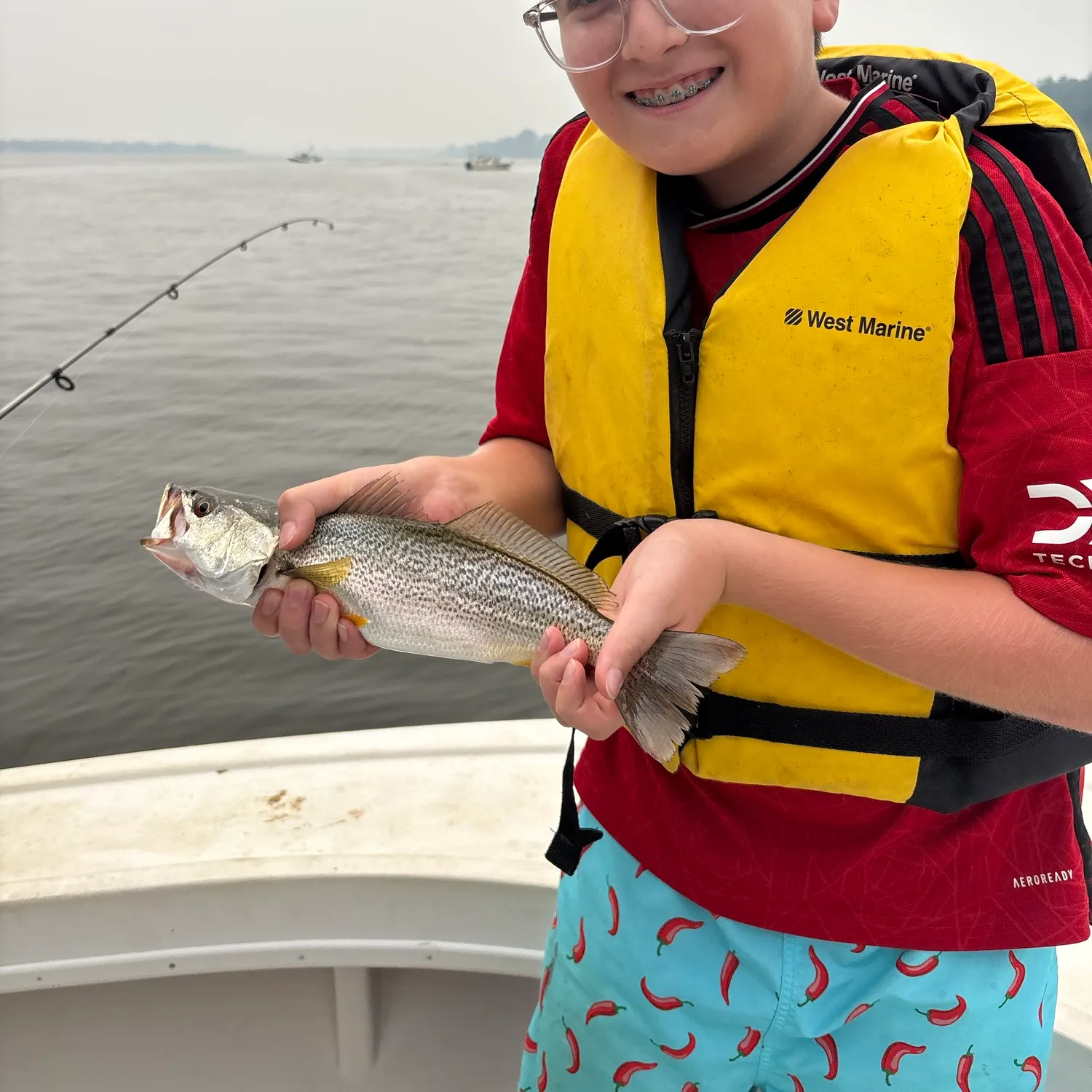 The most recent Gray weakfish catches on Fishbrain