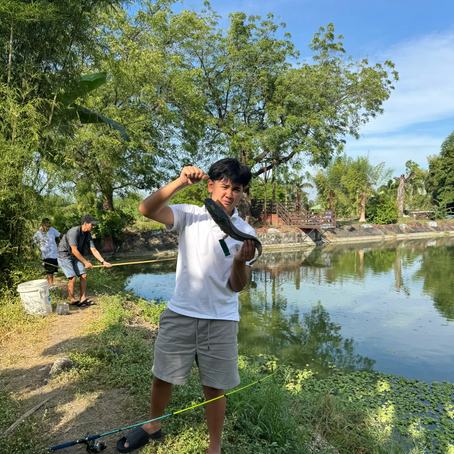 The most recent Wels catfish catches on Fishbrain