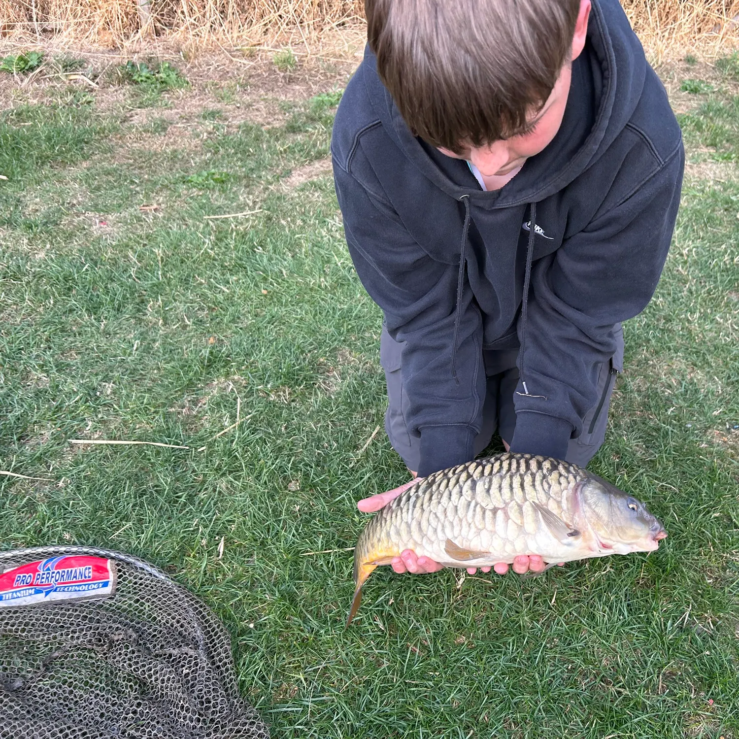 Mirror carp caught on Fishbrain