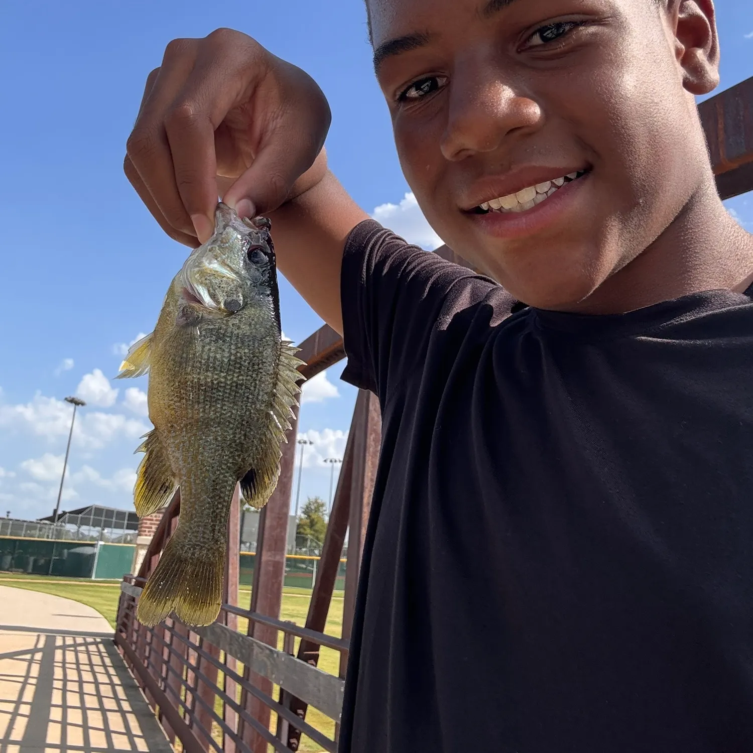 Green sunfish caught on Fishbrain