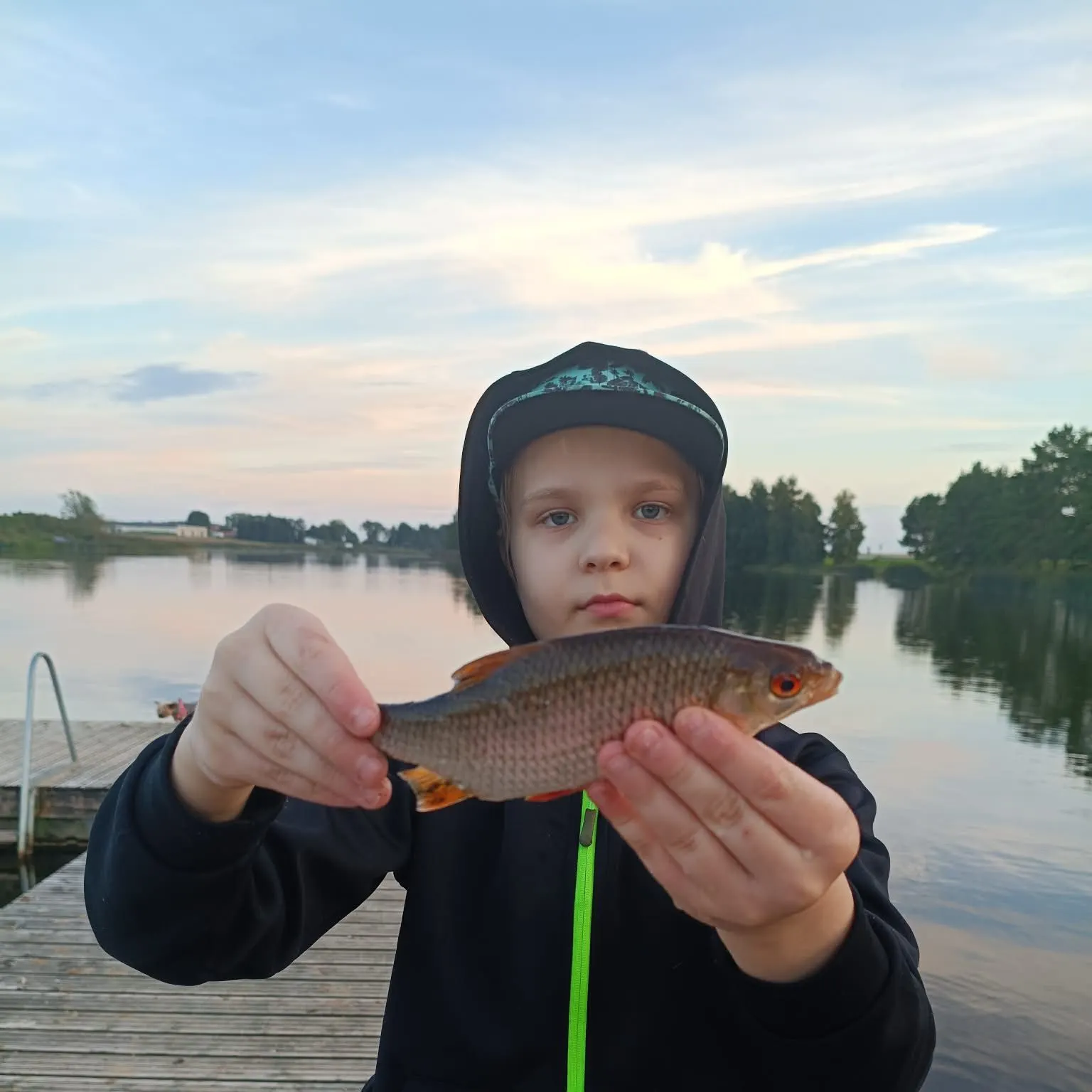 Common roach caught on Fishbrain