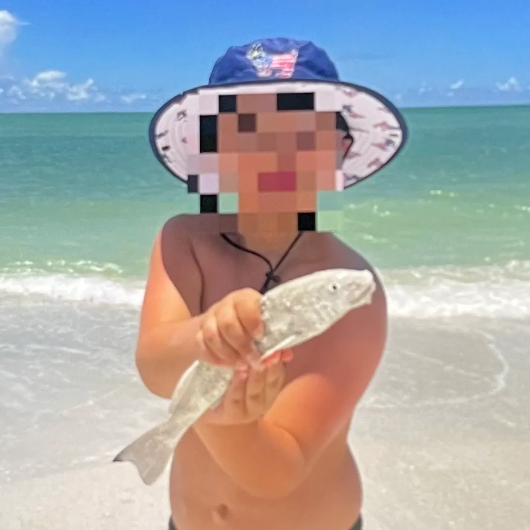 The most recent Yellowfin sillago catches on Fishbrain