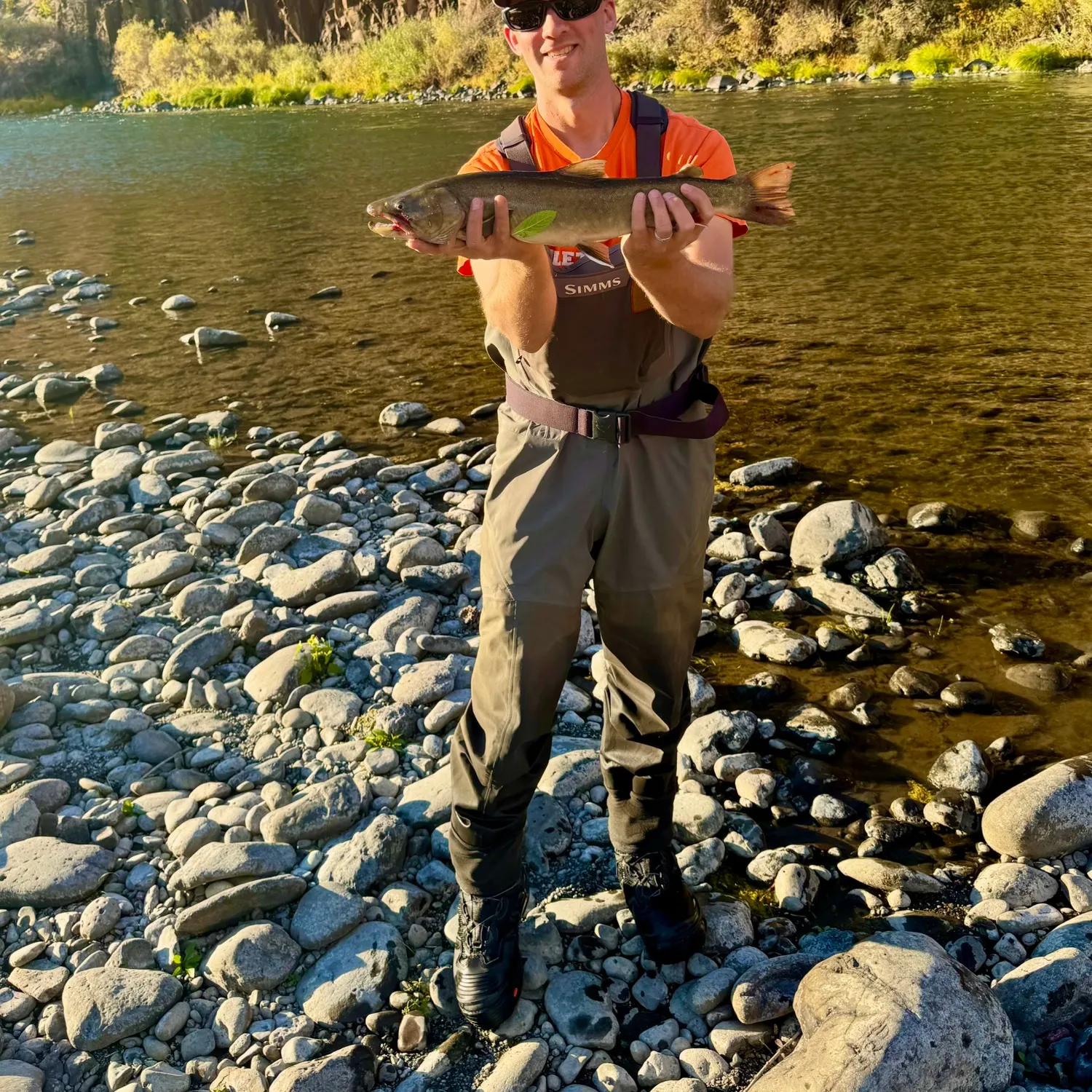 The most recent Bull trout catches on Fishbrain