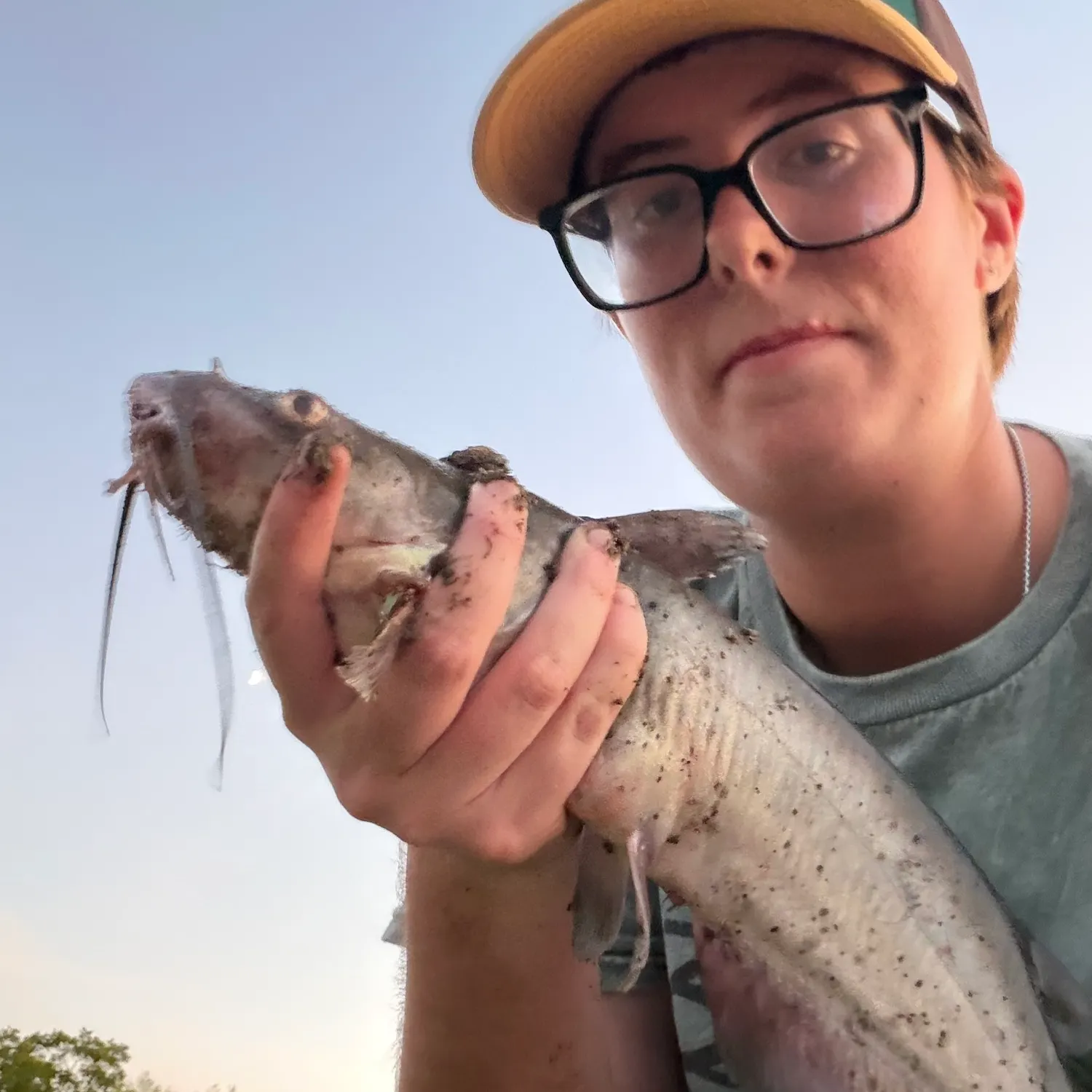 Channel catfish caught on Fishbrain
