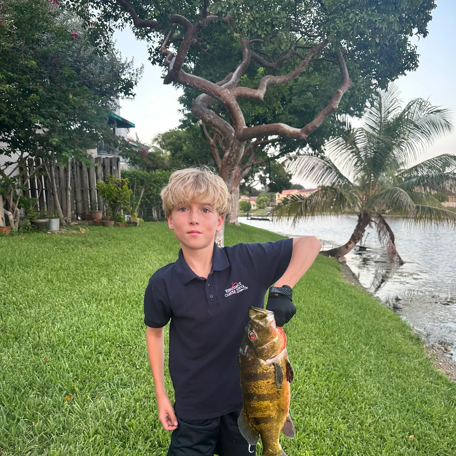 The most recent Butterfly peacock bass catches on Fishbrain