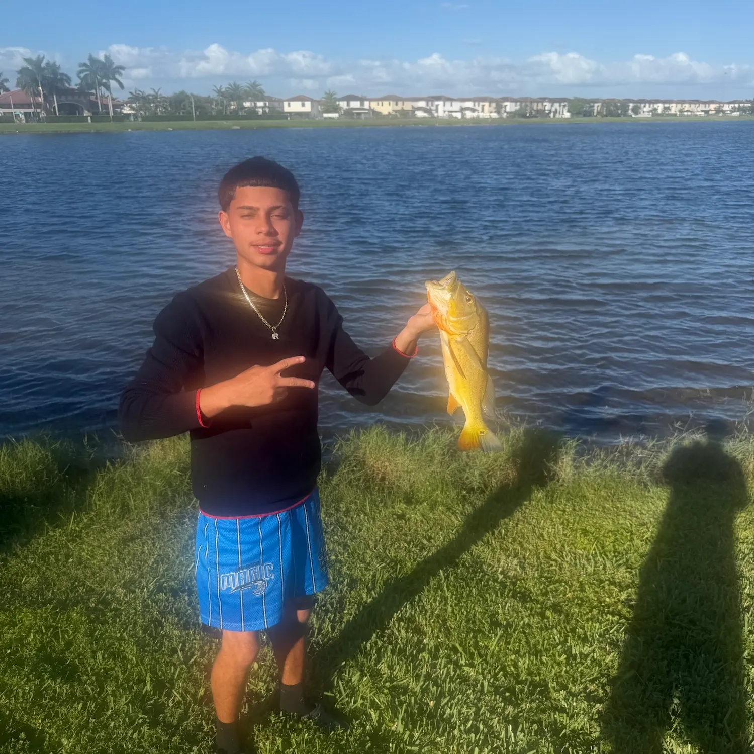 Butterfly peacock bass caught on Fishbrain