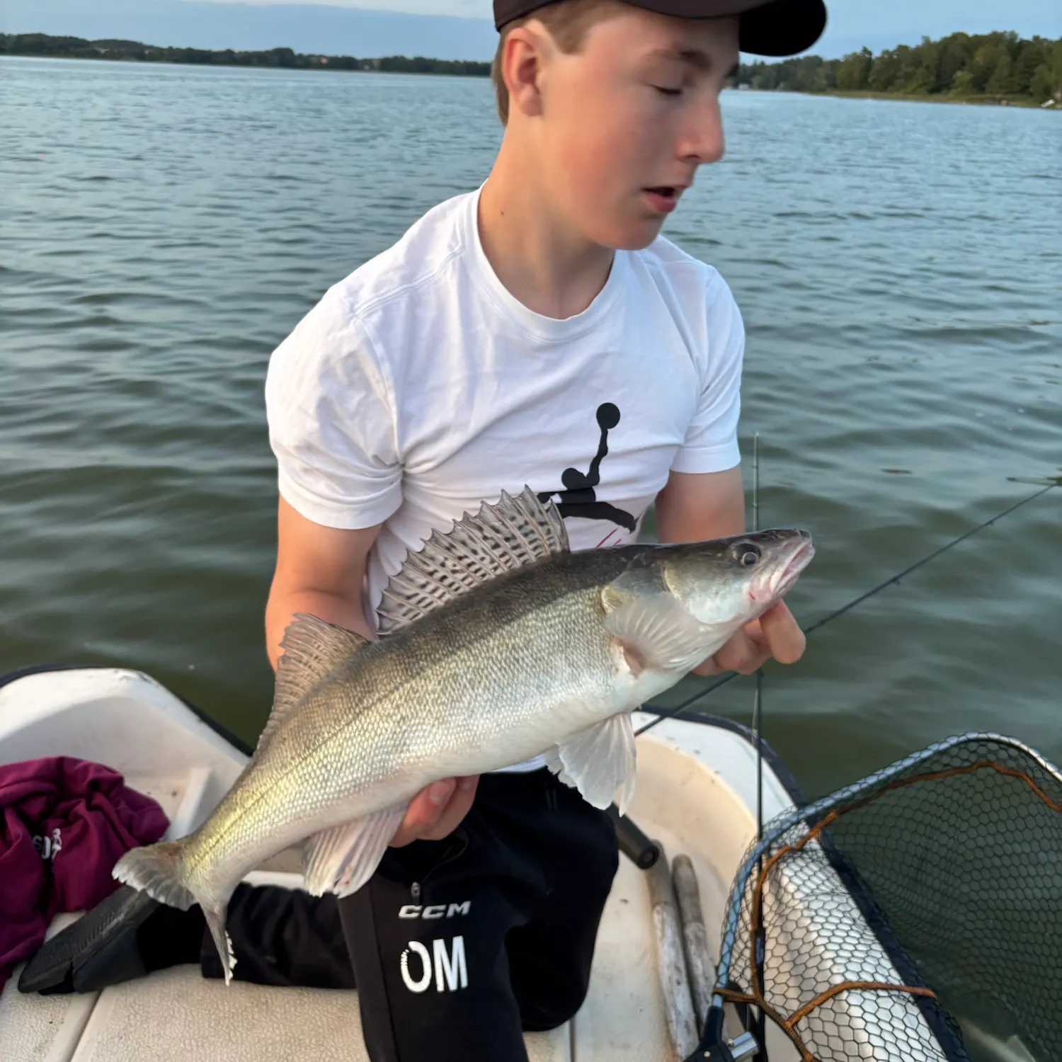Zander caught on Fishbrain