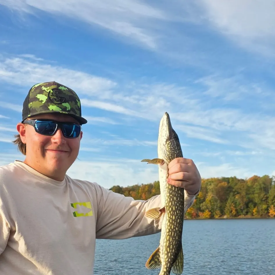 Northern pike caught on Fishbrain