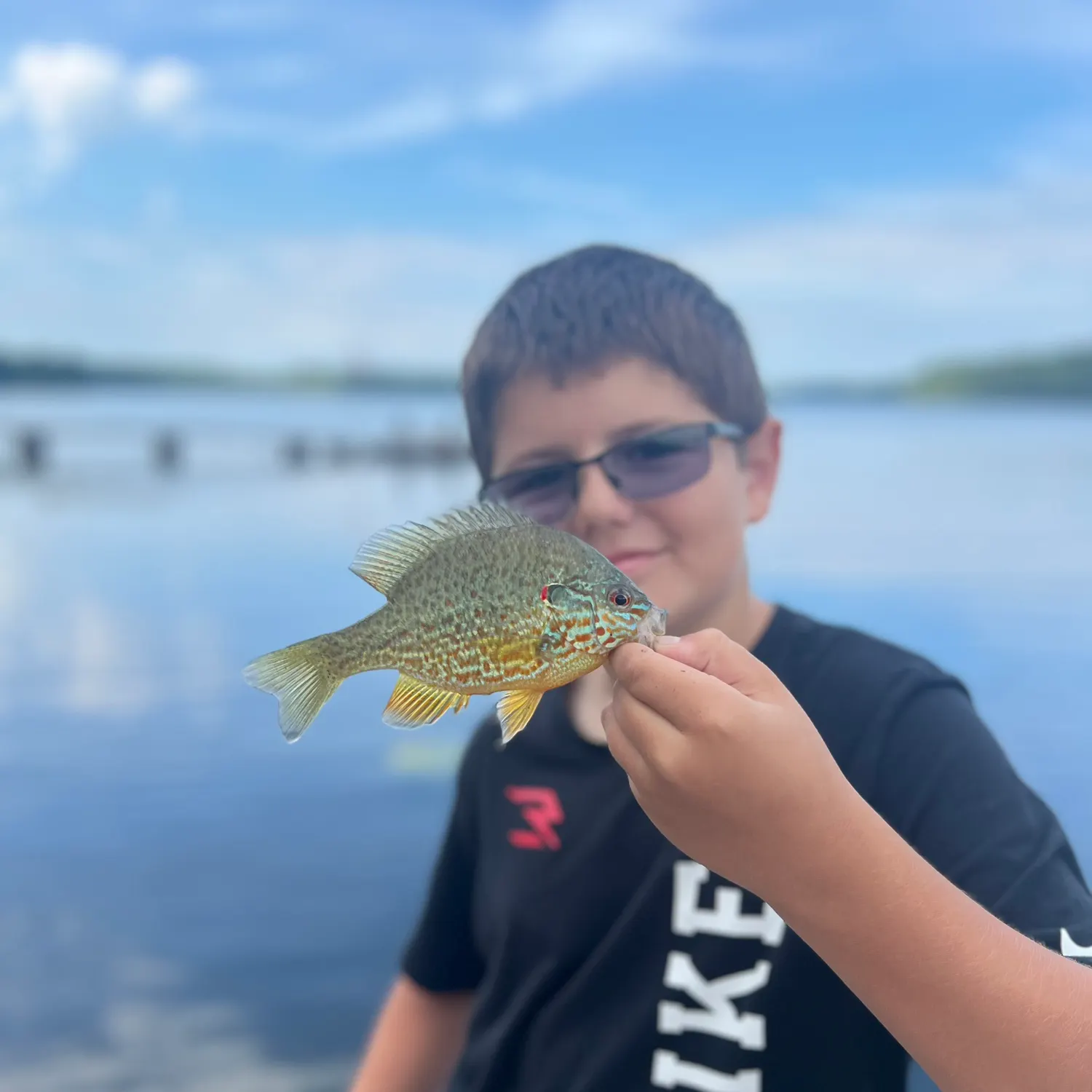 Pumpkinseed caught on Fishbrain