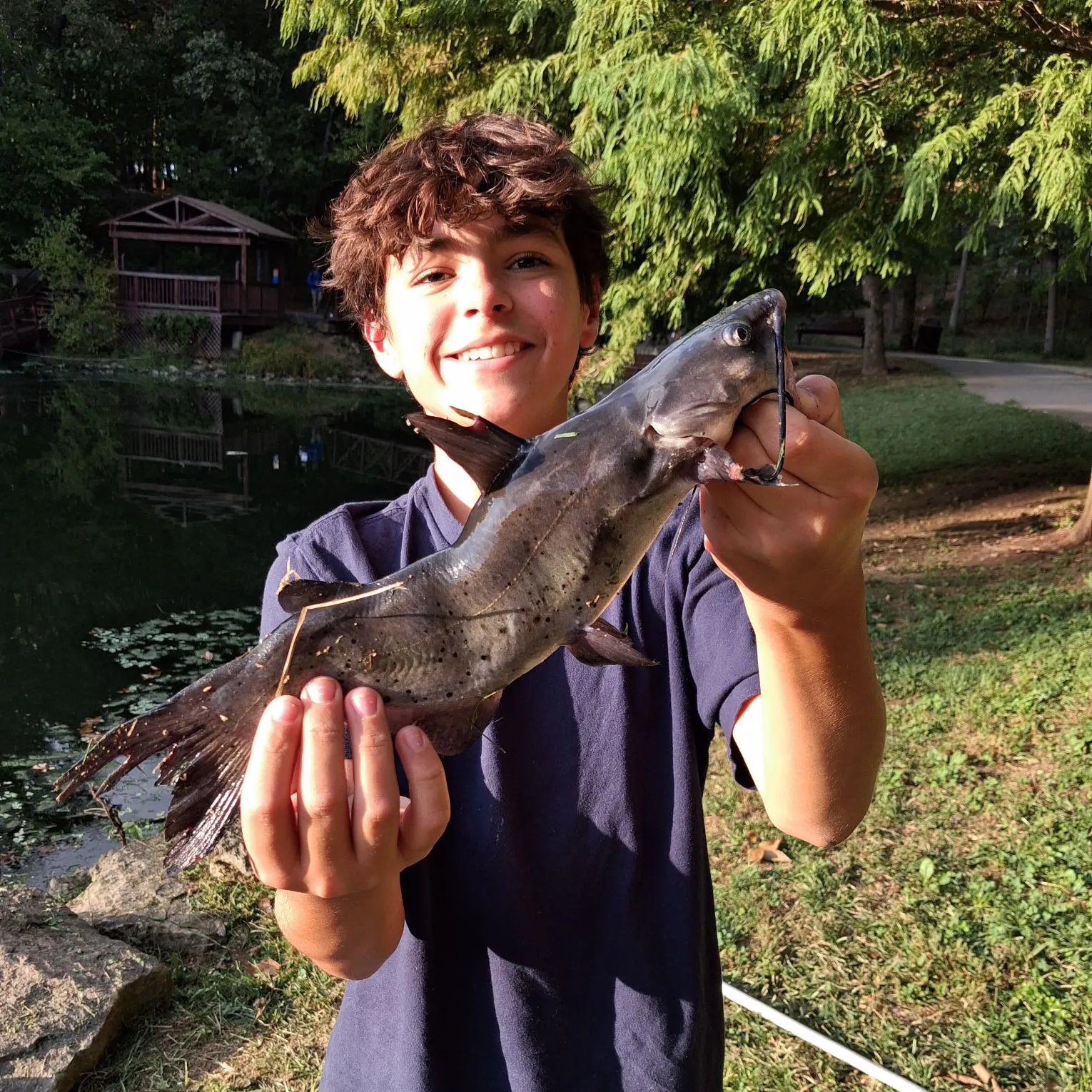 Channel catfish caught on Fishbrain
