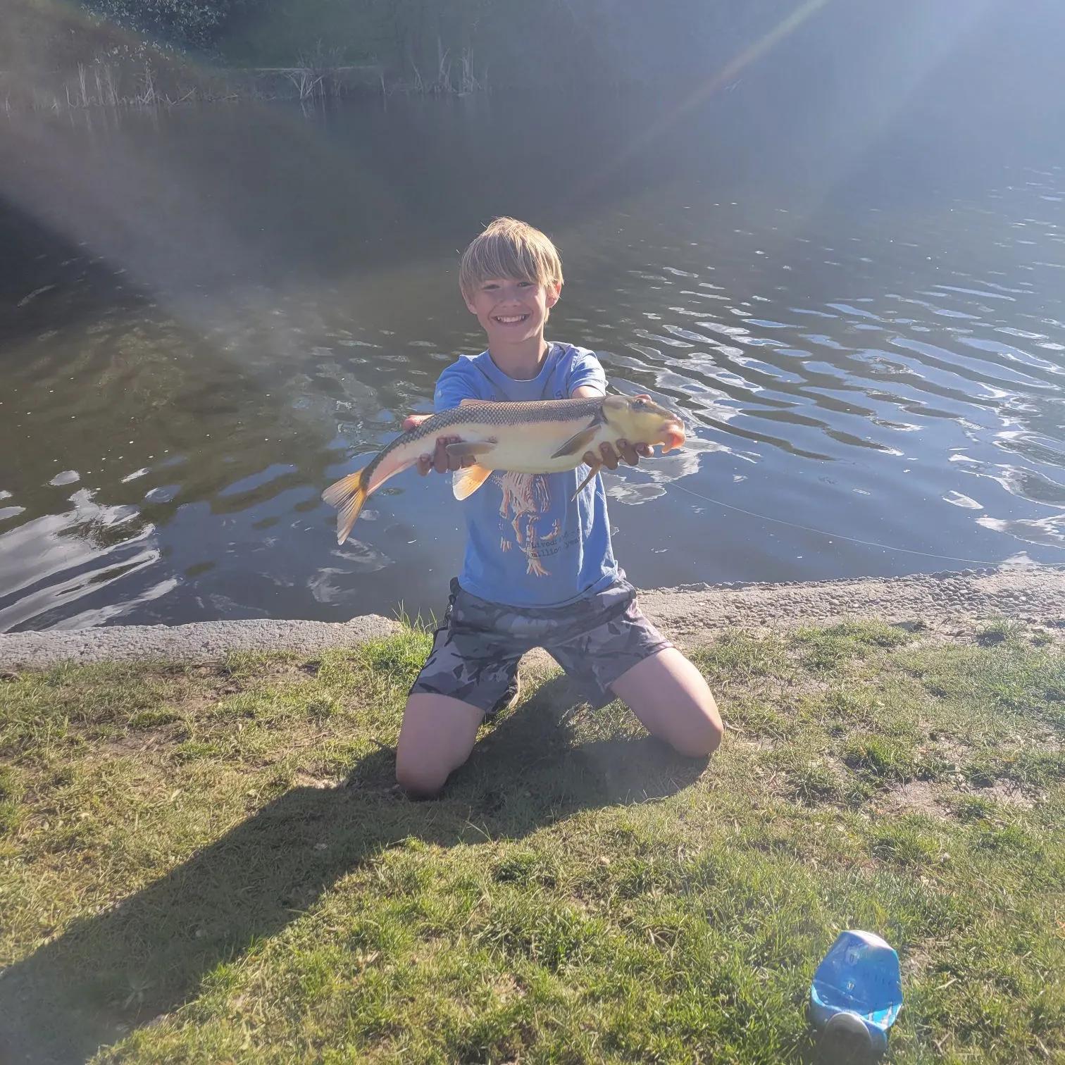 The most recent Largescale sucker catches on Fishbrain