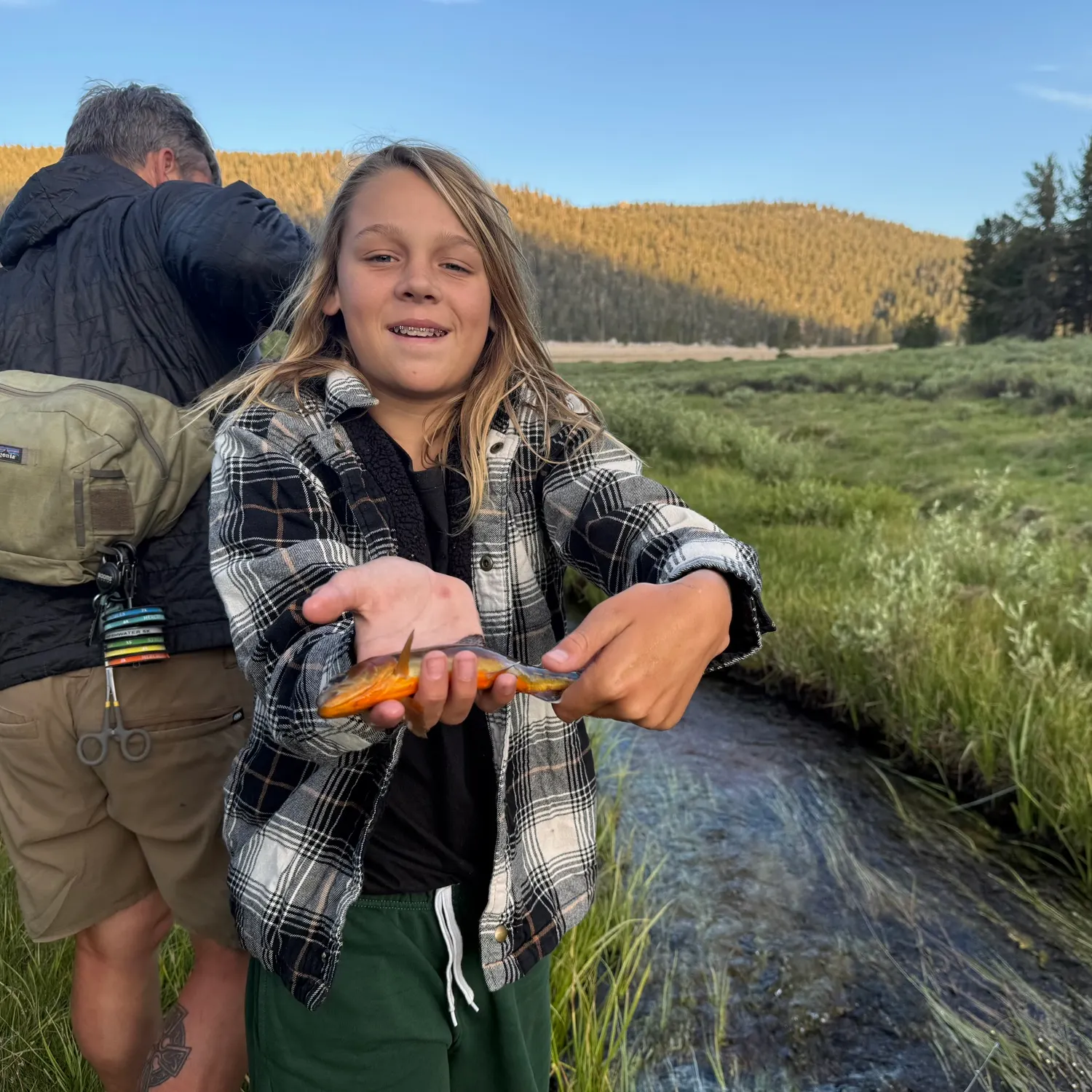 The most recent Golden trout catches on Fishbrain