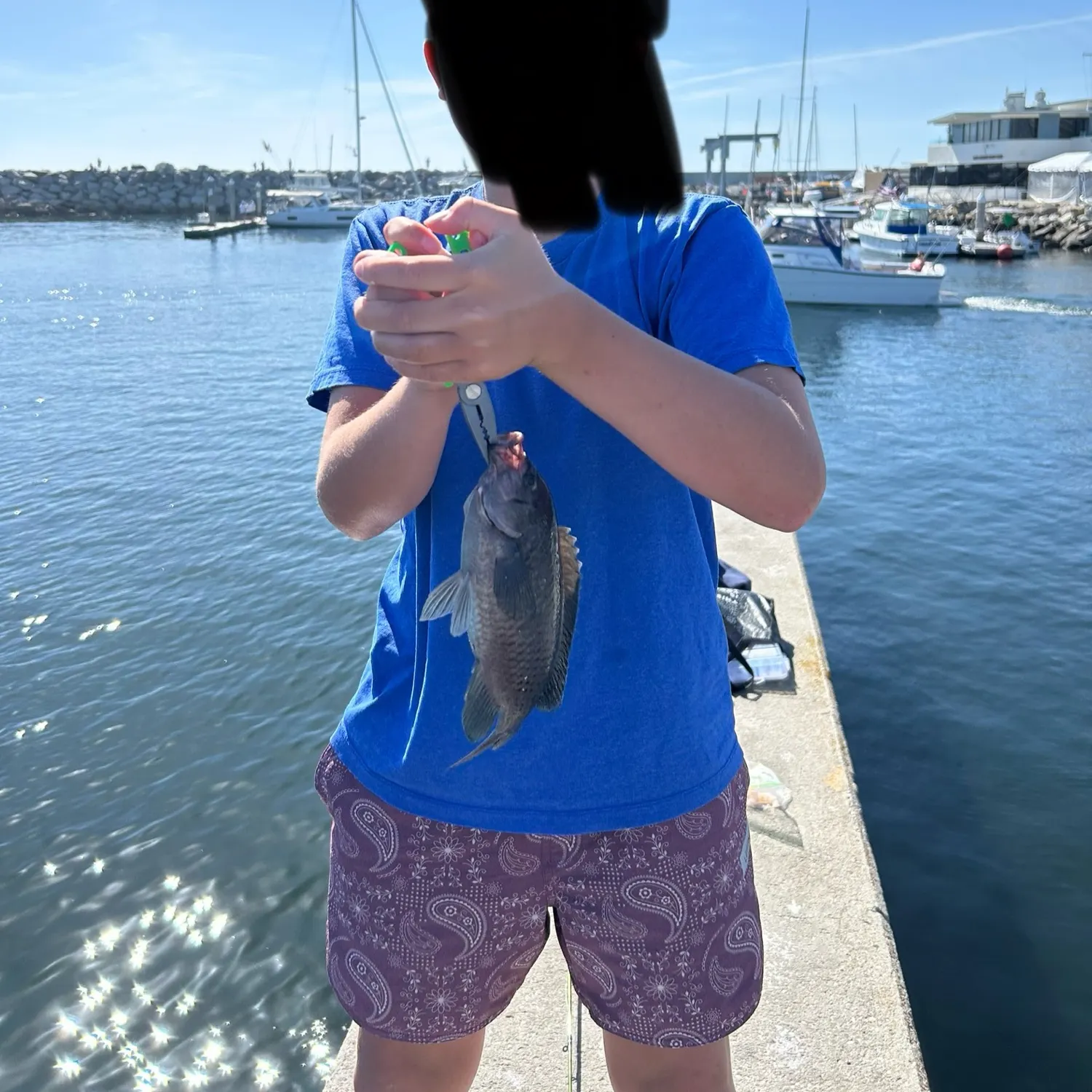 The most recent Blacksmith catches on Fishbrain