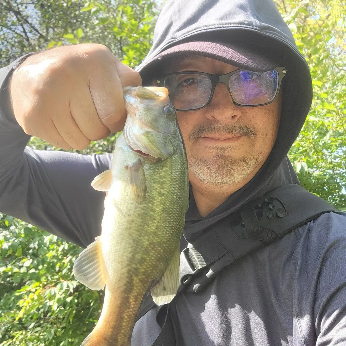 Largemouth bass caught on Fishbrain