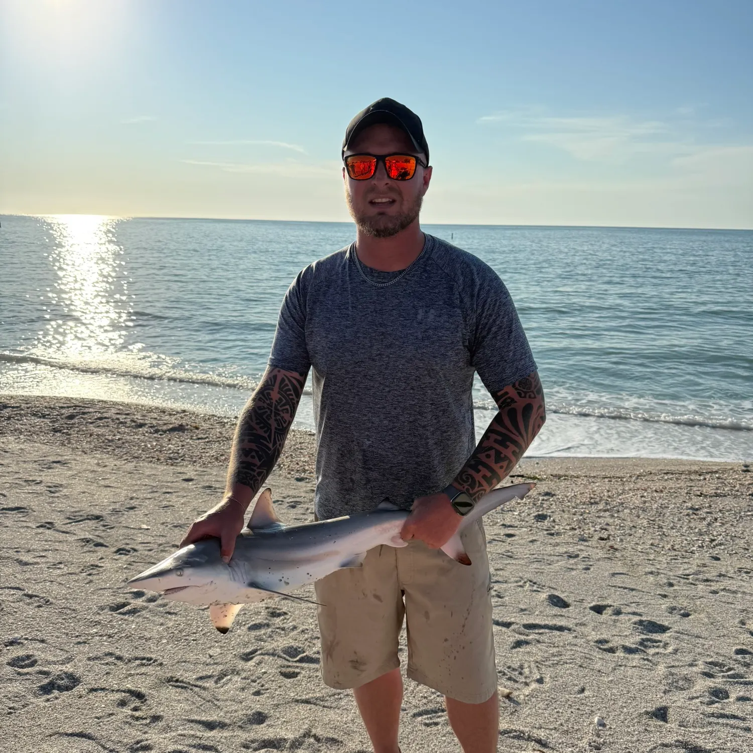 The most recent Blacktip shark catches on Fishbrain