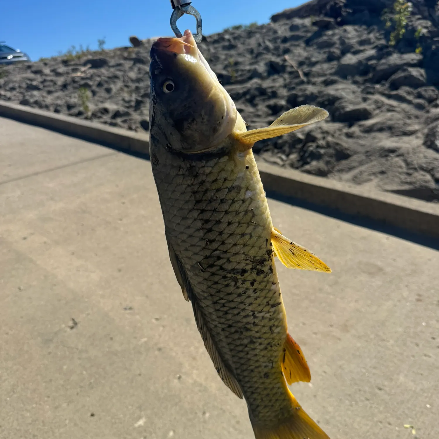 catch