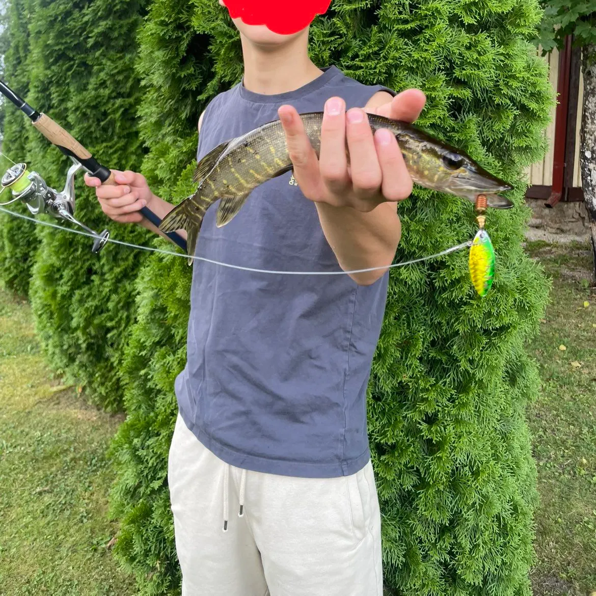 Northern pike caught on Fishbrain