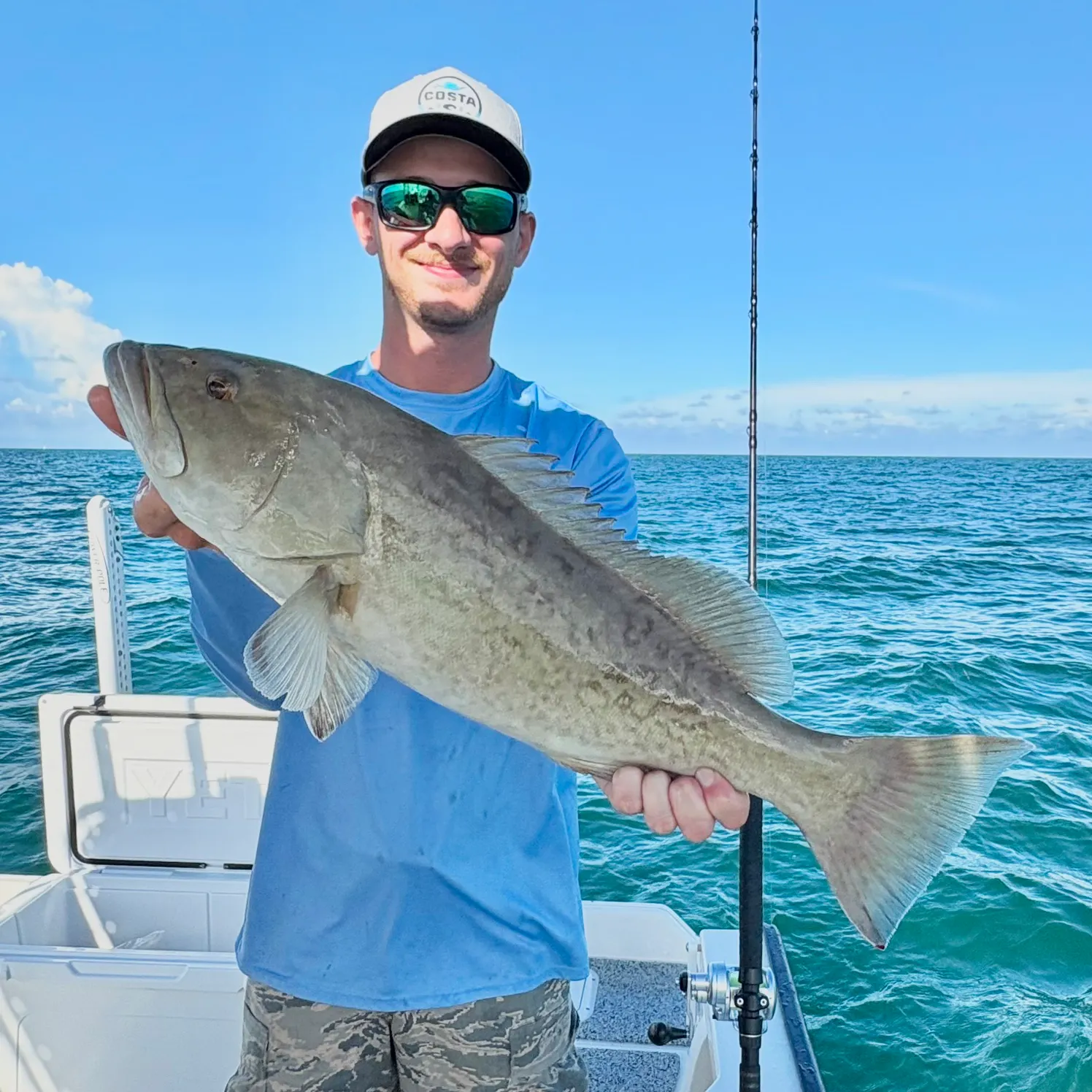 Gag grouper caught on Fishbrain