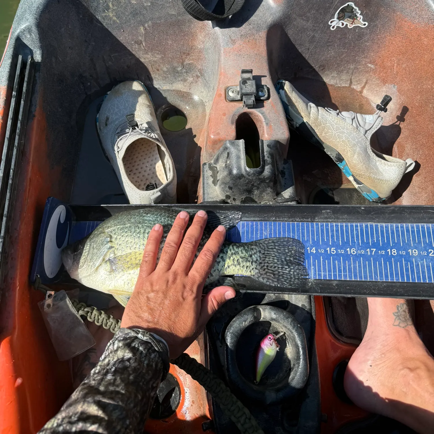 recently logged catches