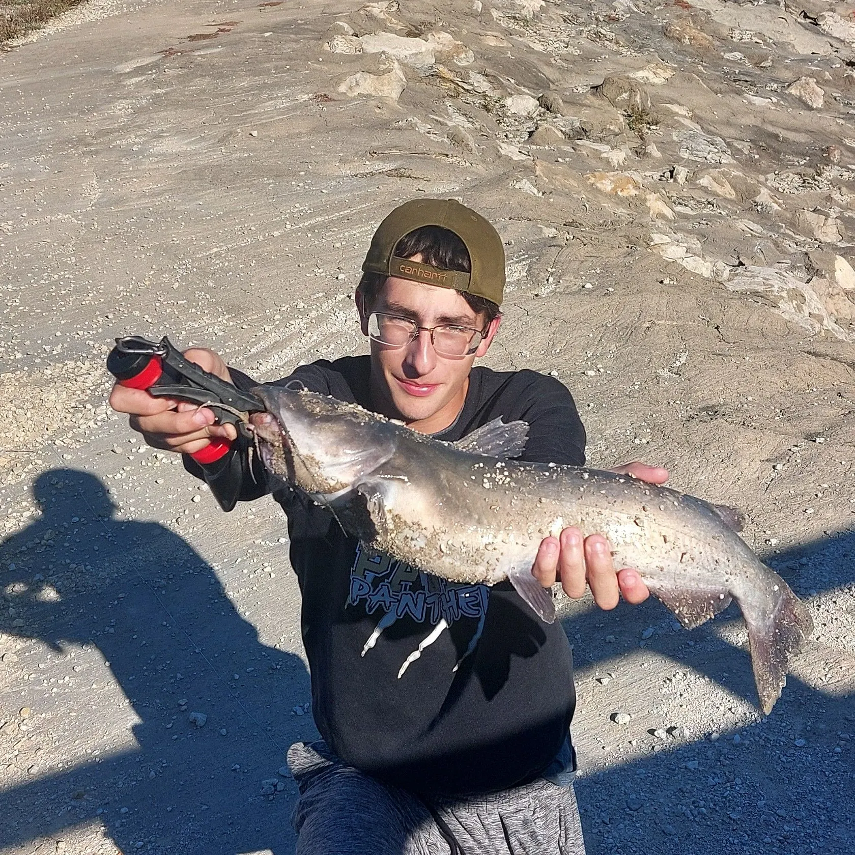 Channel catfish caught on Fishbrain