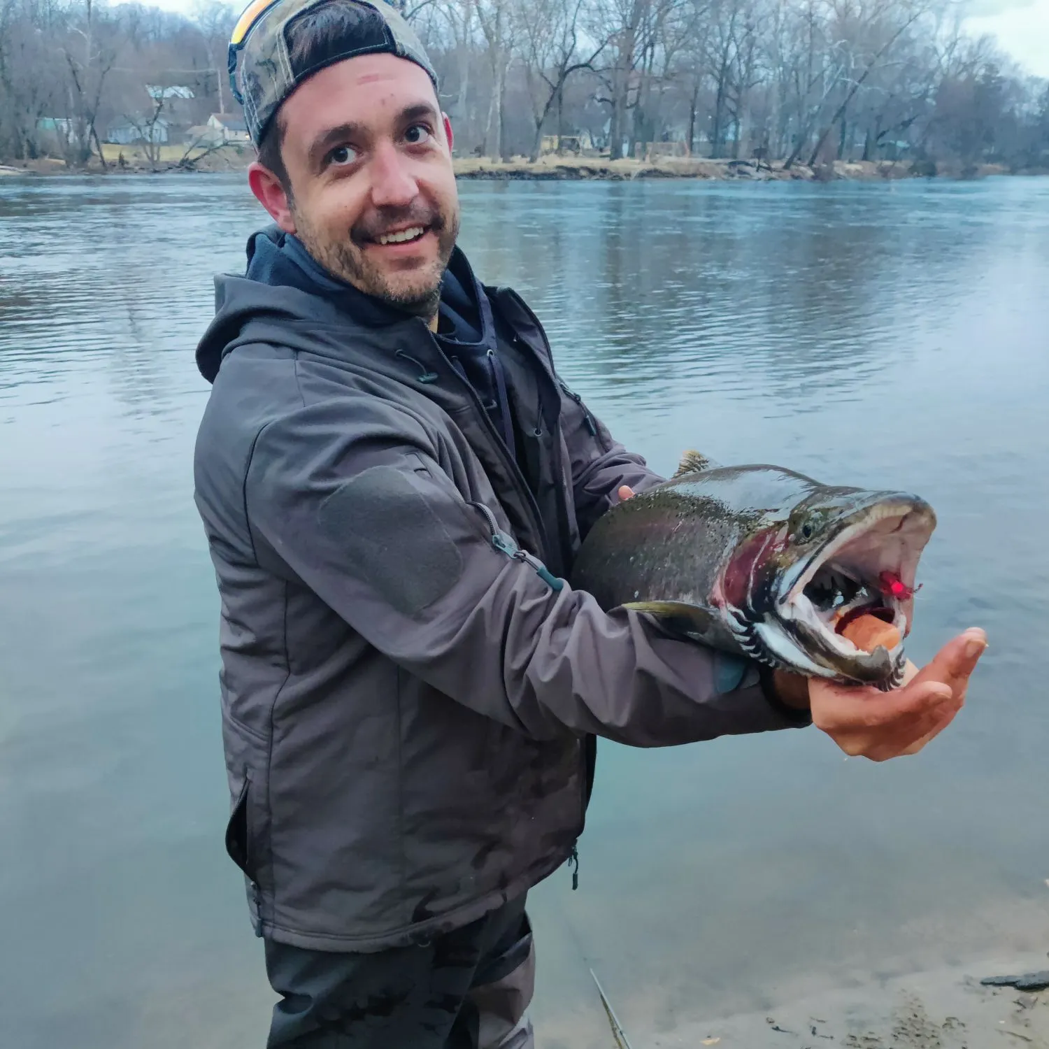 The most recent Steelhead catches on Fishbrain