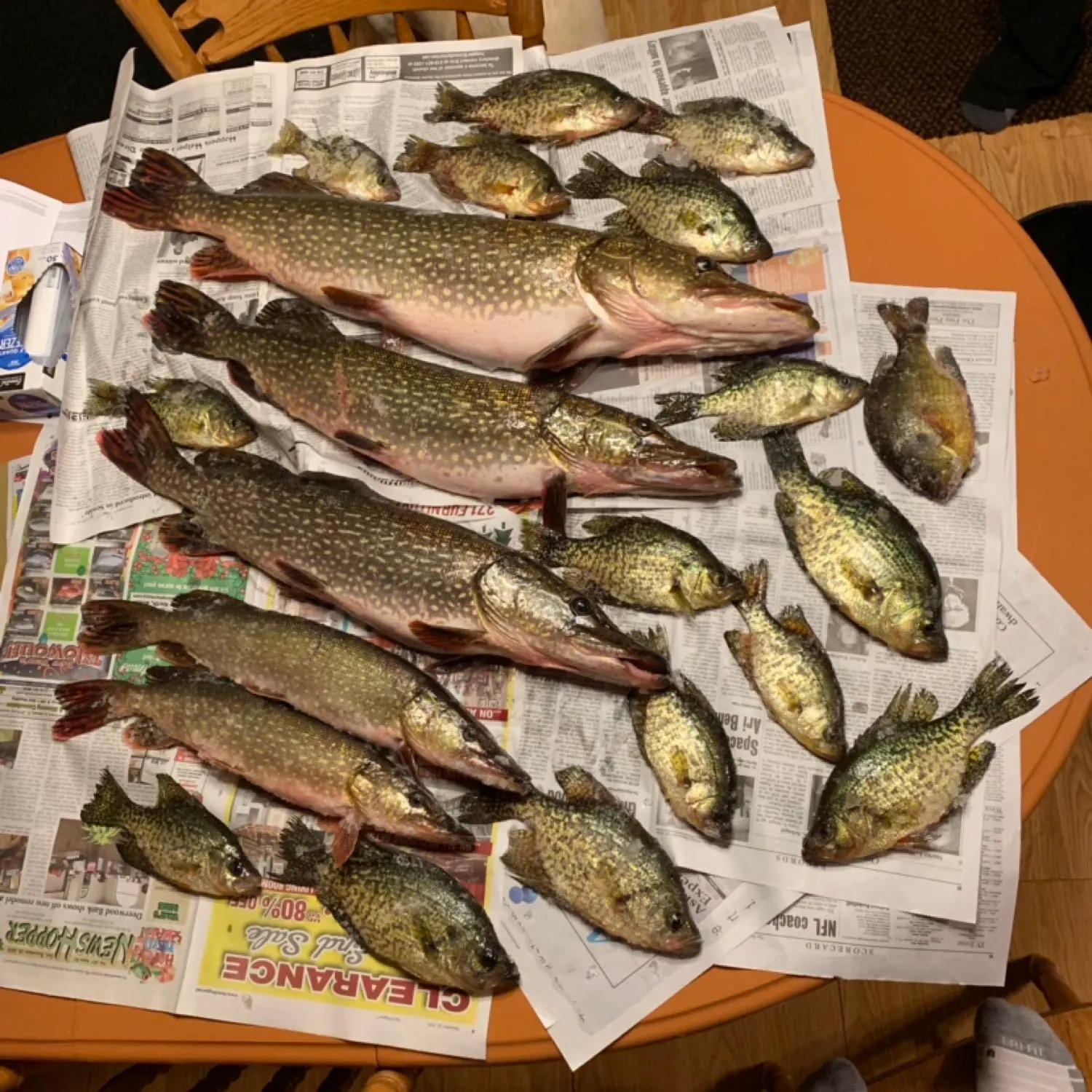 recently logged catches