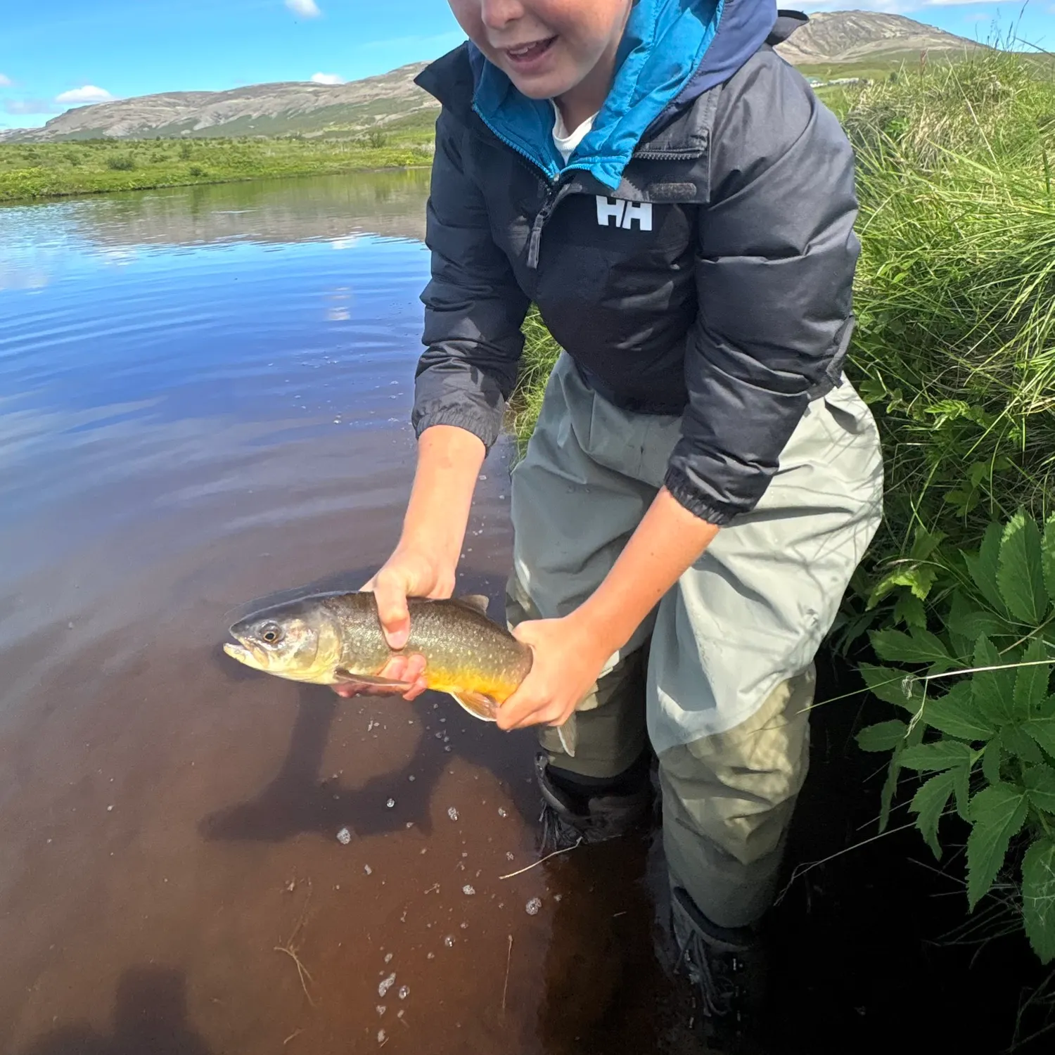 The most recent Arctic char catches on Fishbrain