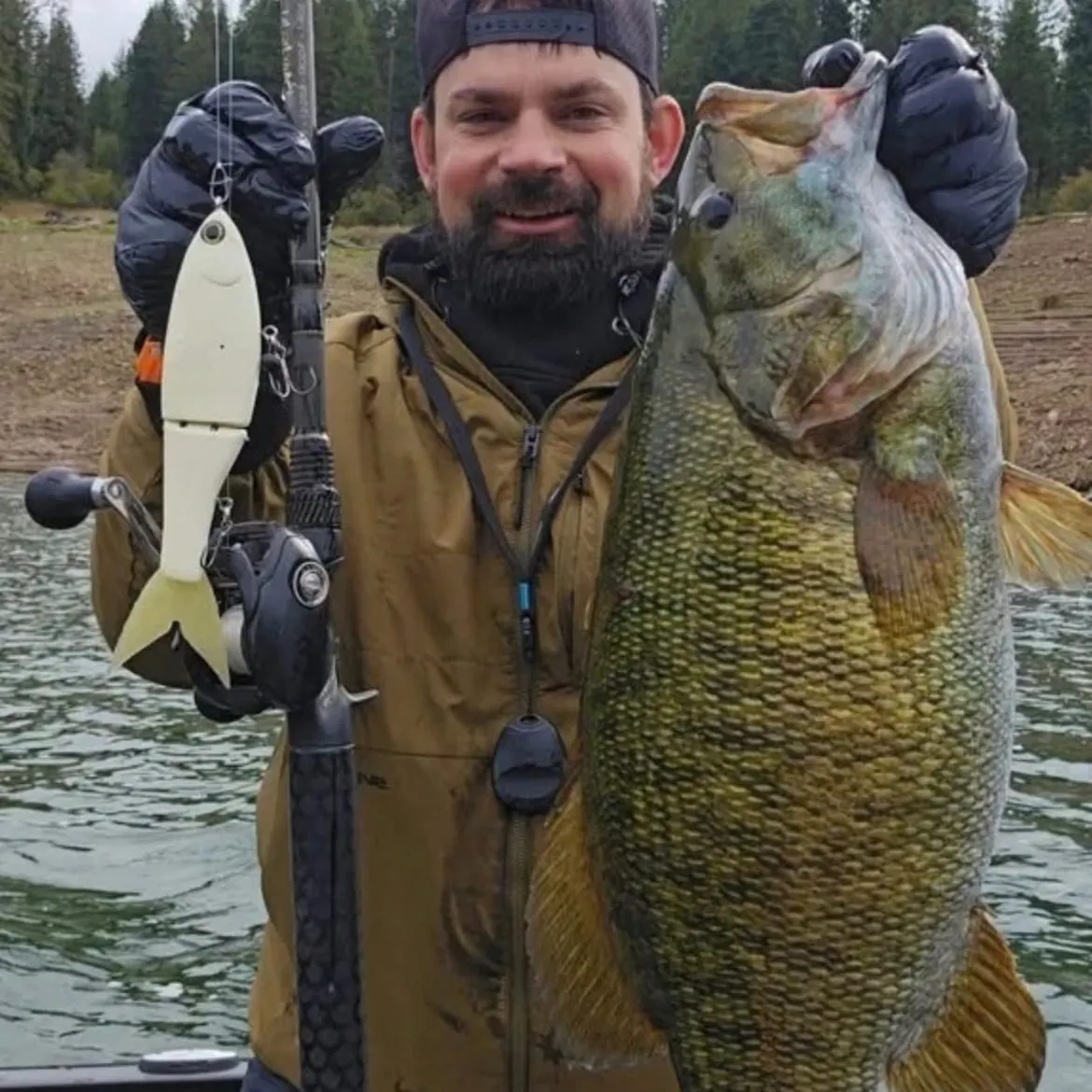 Smallmouth bass caught on Fishbrain