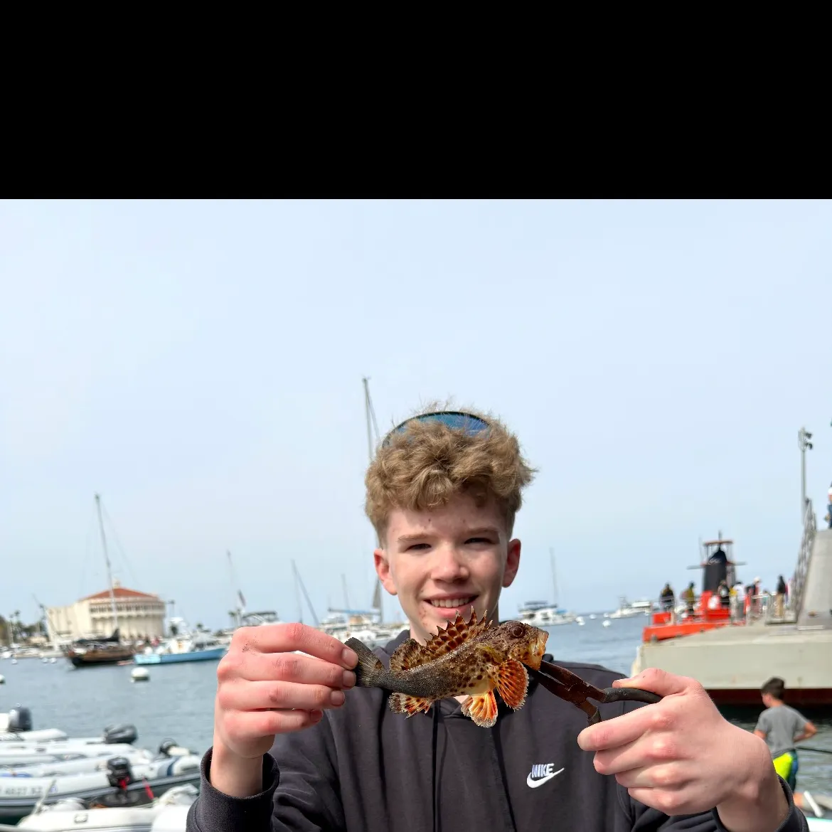 The most recent Longspined bullhead catches on Fishbrain