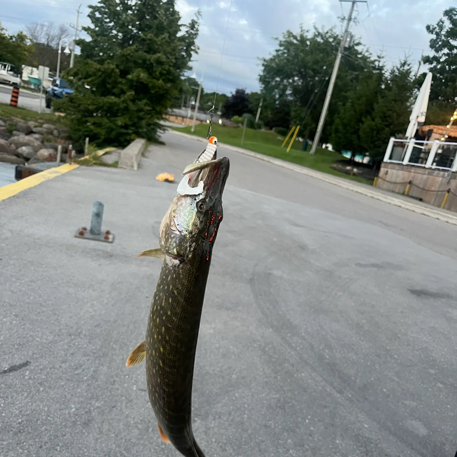 catch