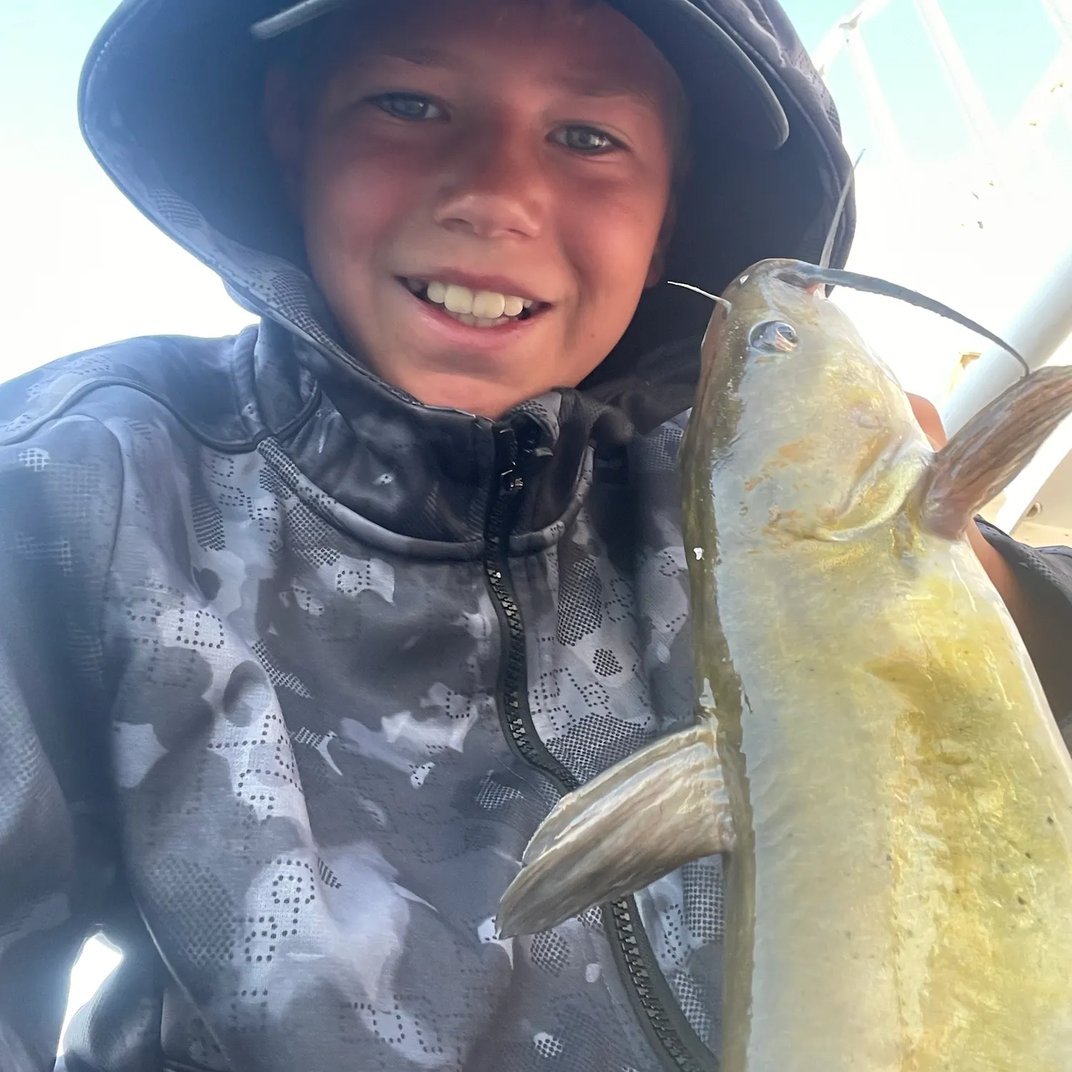 Yellow bullhead caught on Fishbrain