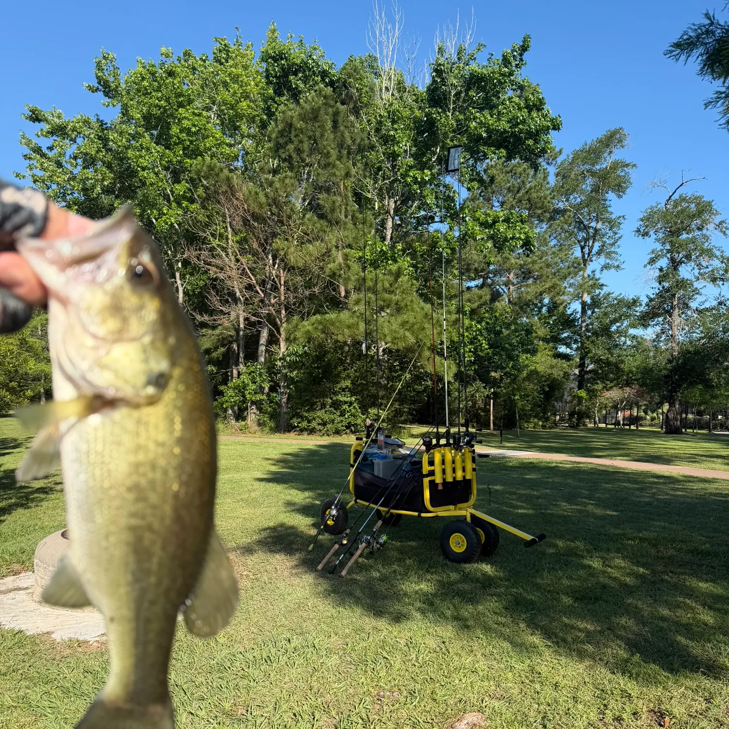 catch