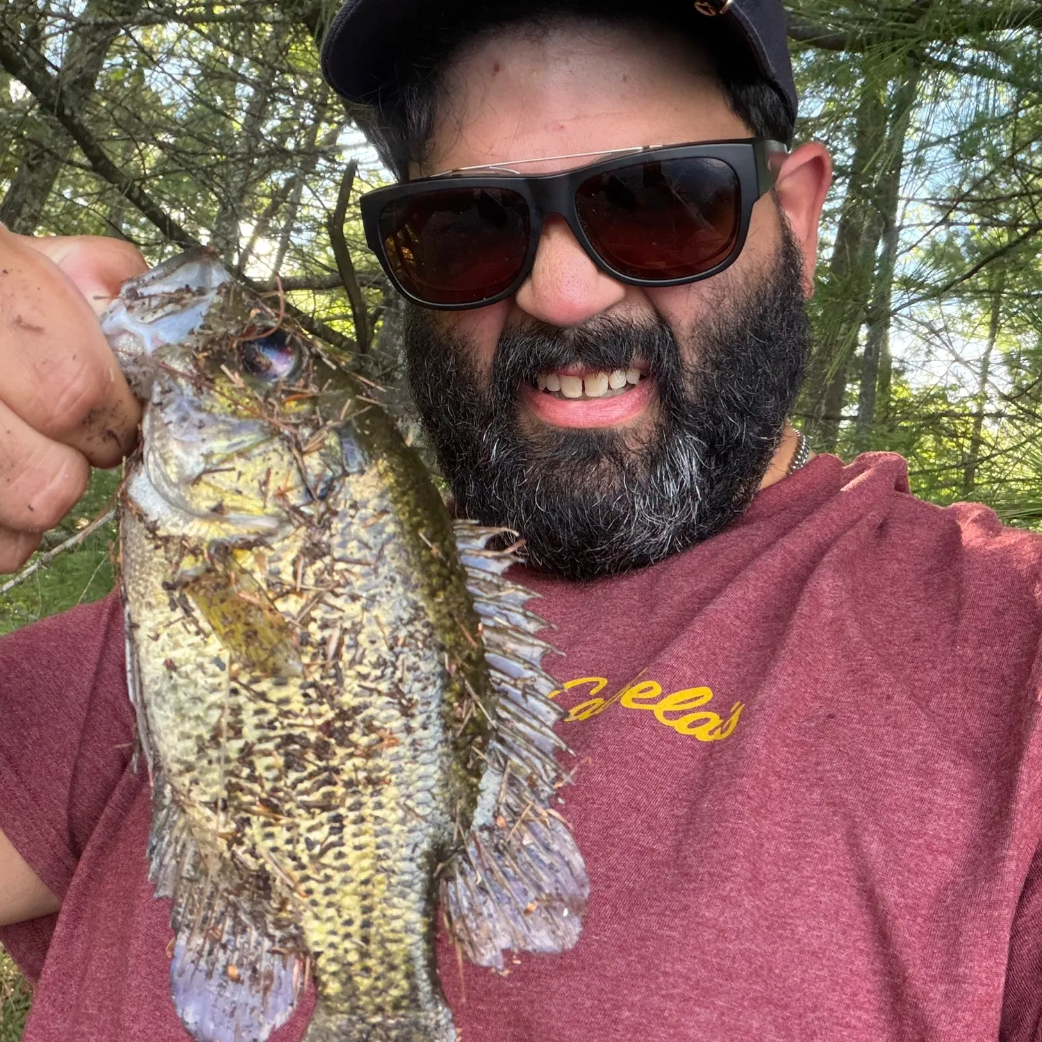 Rock bass caught on Fishbrain