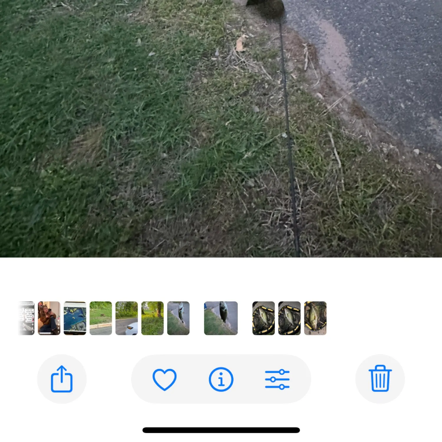 recently logged catches