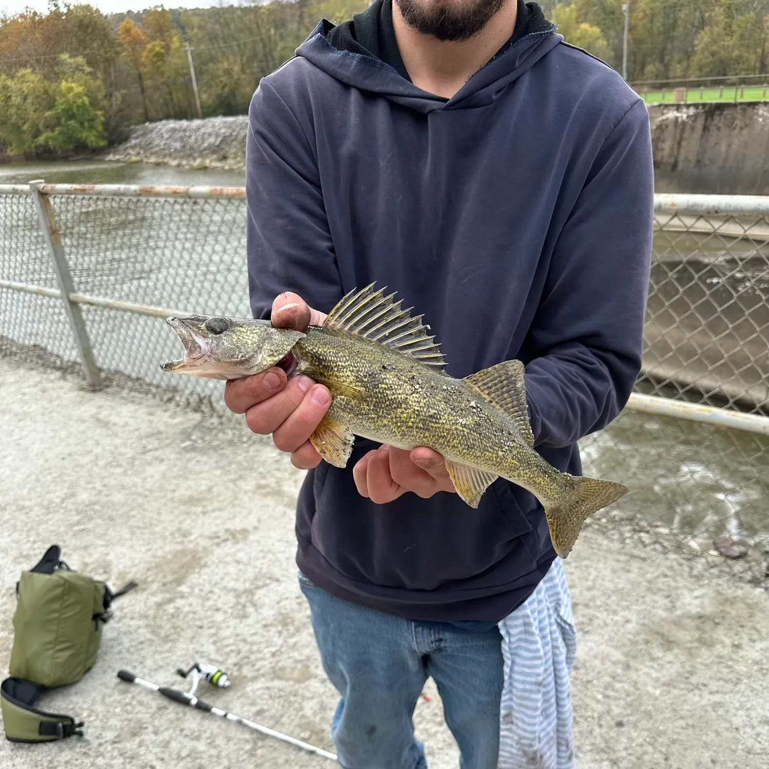 Saugeye caught on Fishbrain