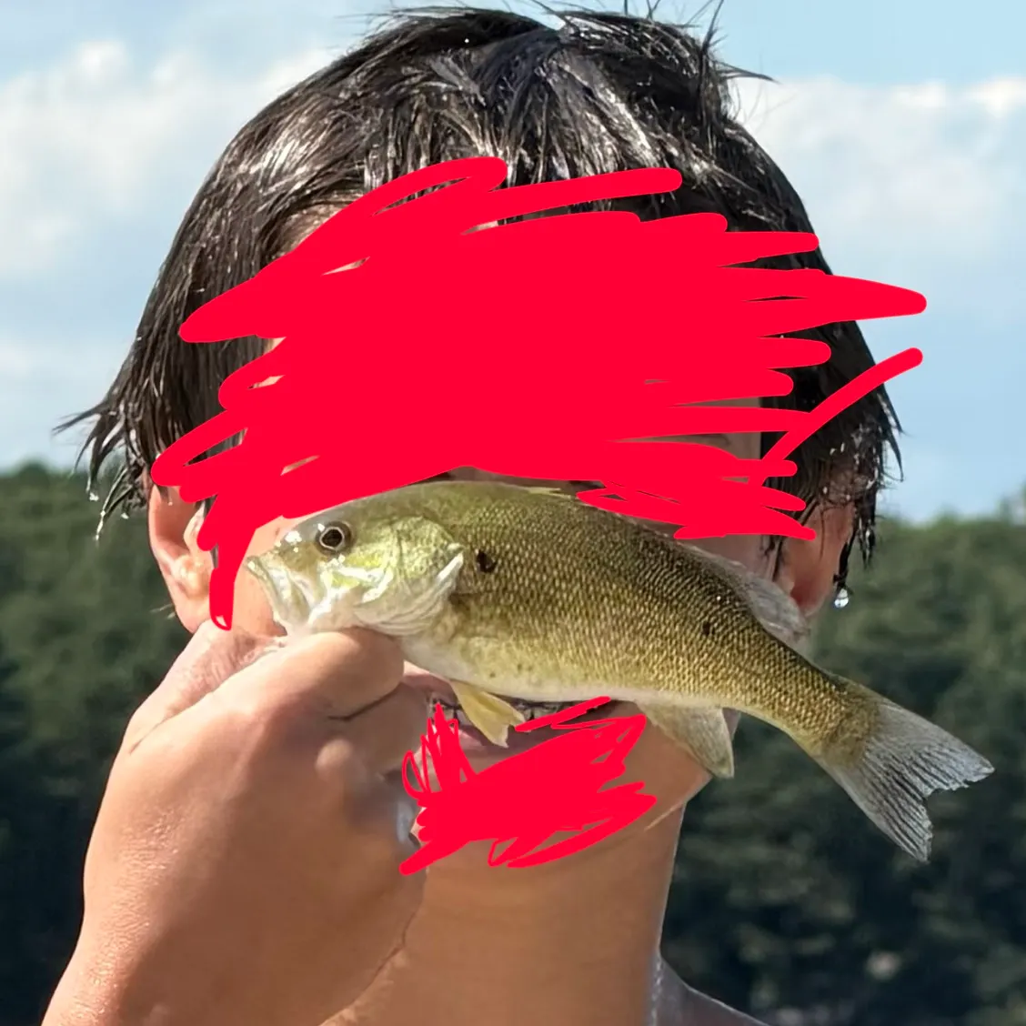 Smallmouth bass caught on Fishbrain