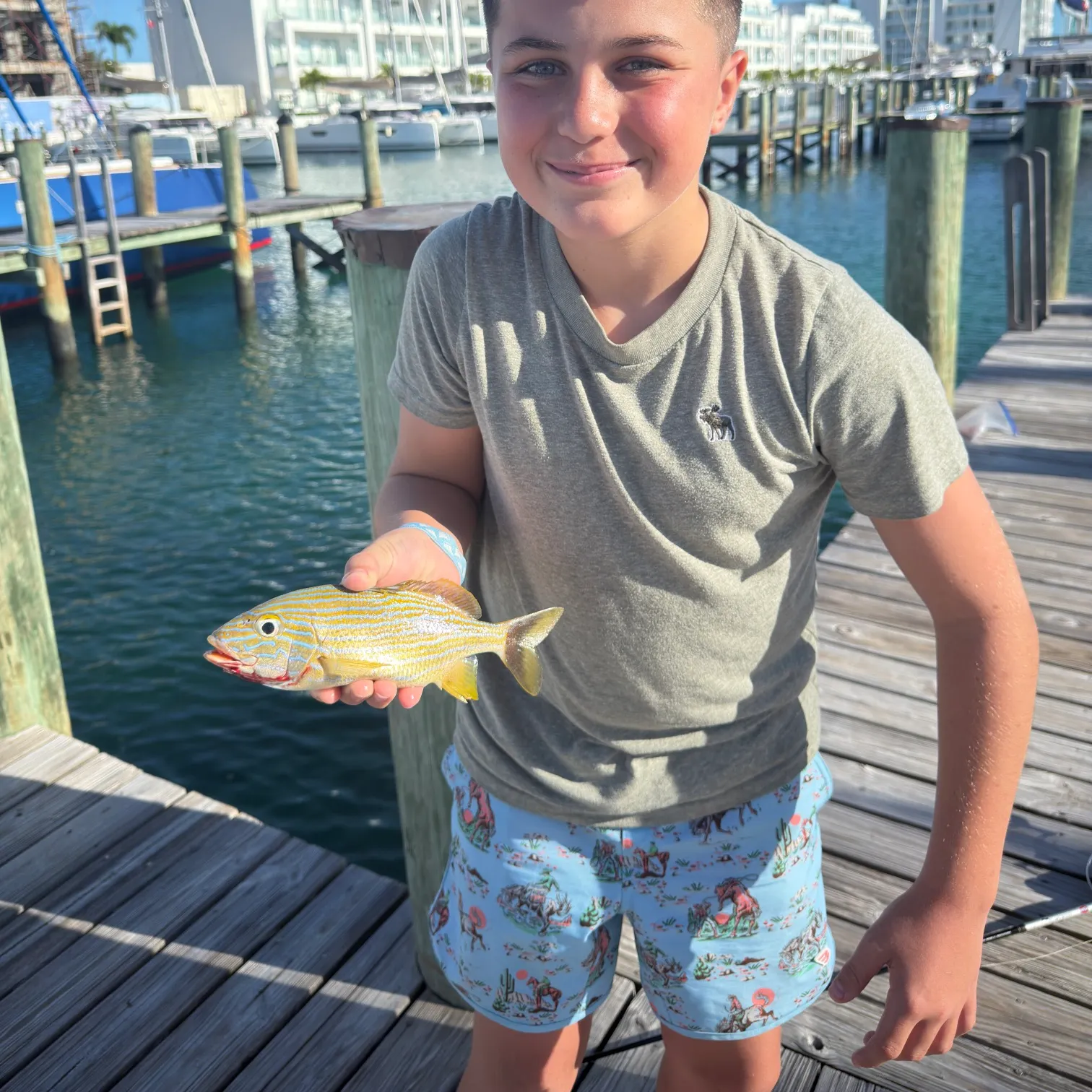 The most recent White grunt catches on Fishbrain