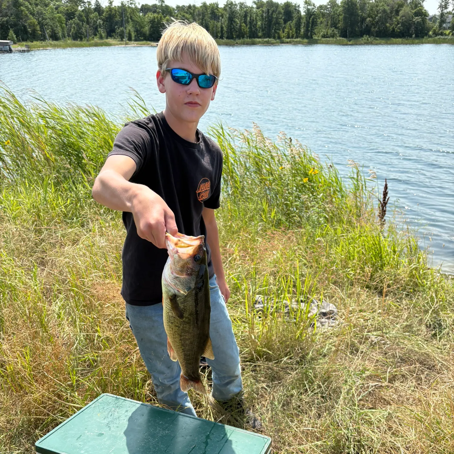 Largemouth bass caught on Fishbrain