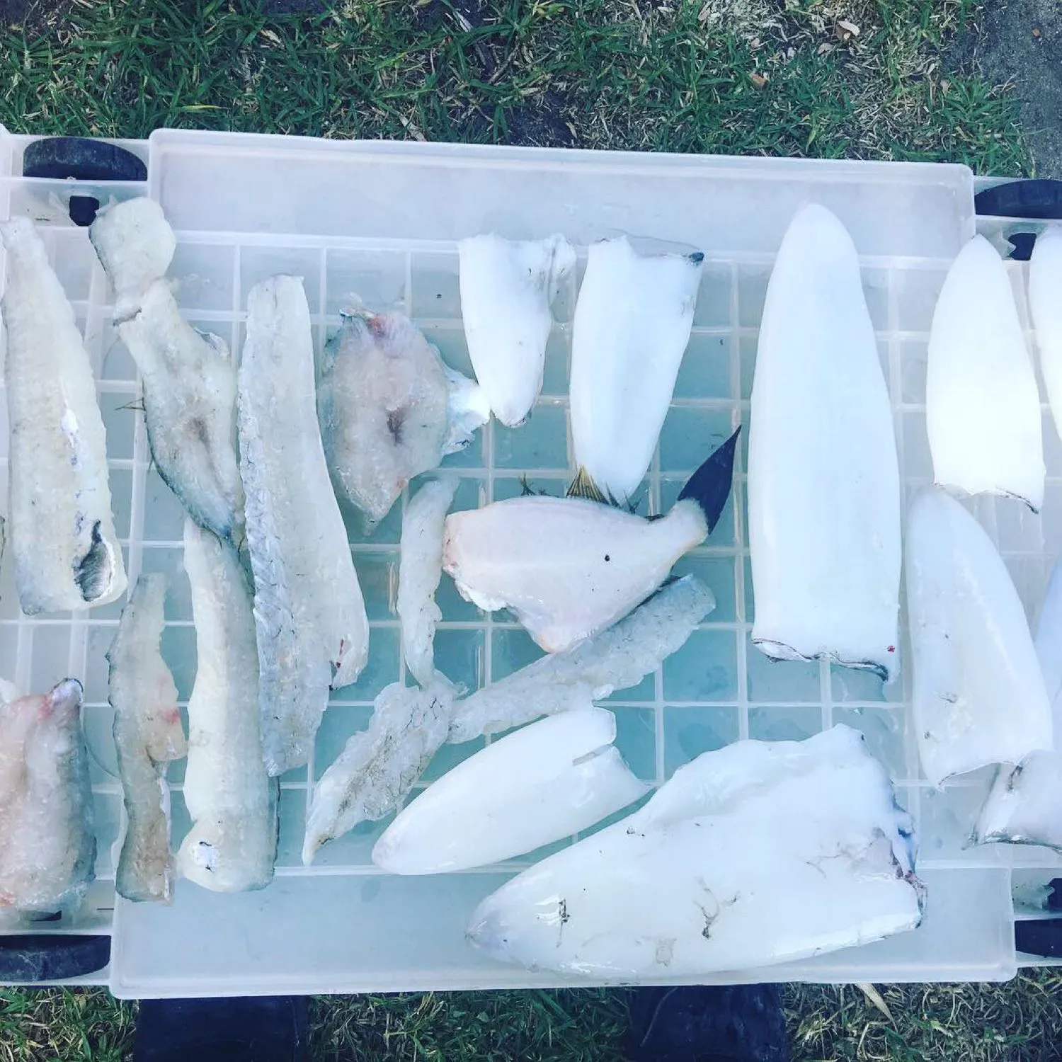 Post image from kbullock7052