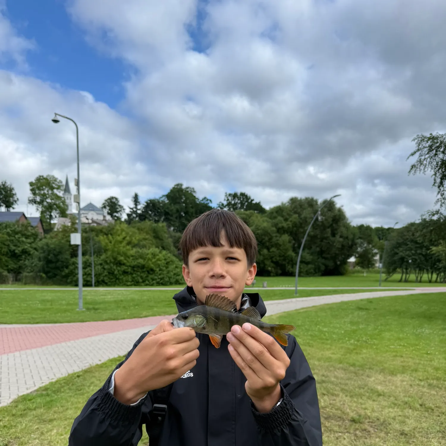 European perch caught on Fishbrain